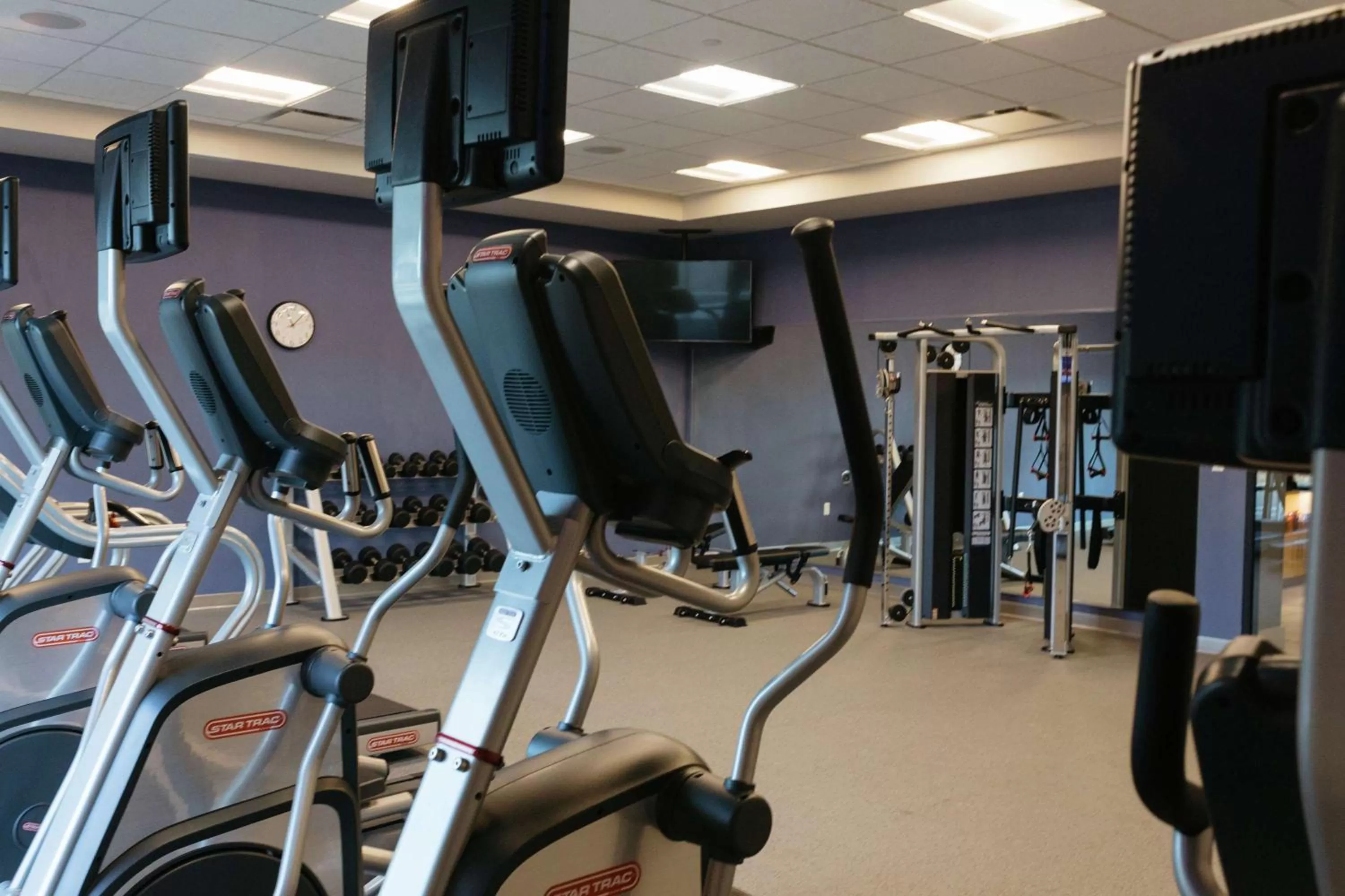 Fitness centre/facilities in Hilton Garden Inn Madison Sun Prairie