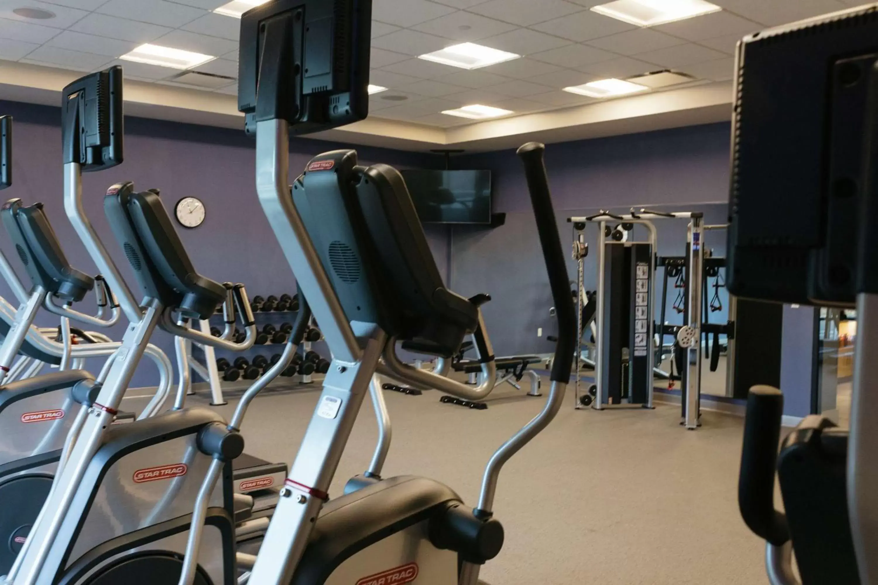 Fitness centre/facilities, Fitness Center/Facilities in Hilton Garden Inn Madison Sun Prairie