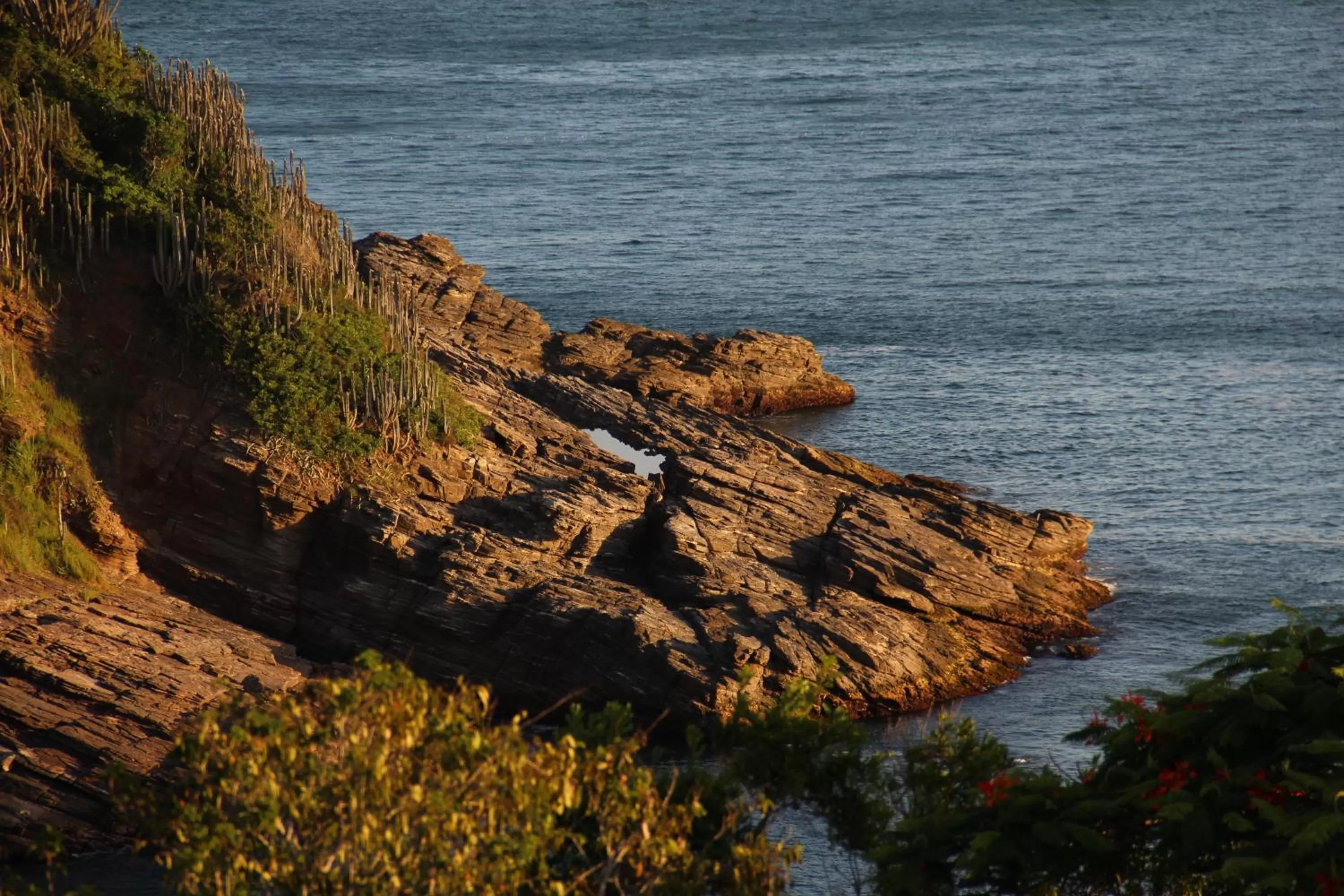 Area and facilities in Praia da Ferradurinha Guest House