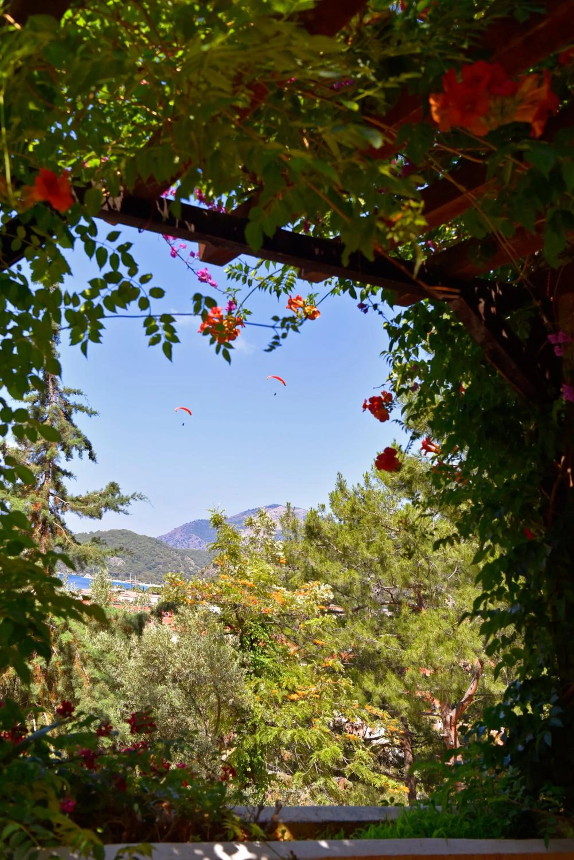 Natural landscape in Symbola Oludeniz Beach Hotel