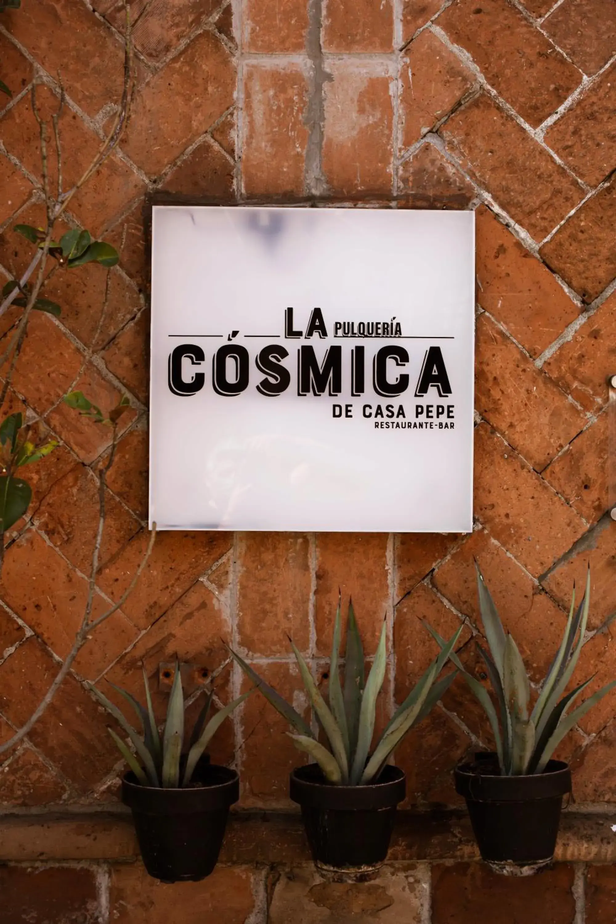 Restaurant/places to eat in Casa Pepe Restaurant/places to eat in Casa Pepe