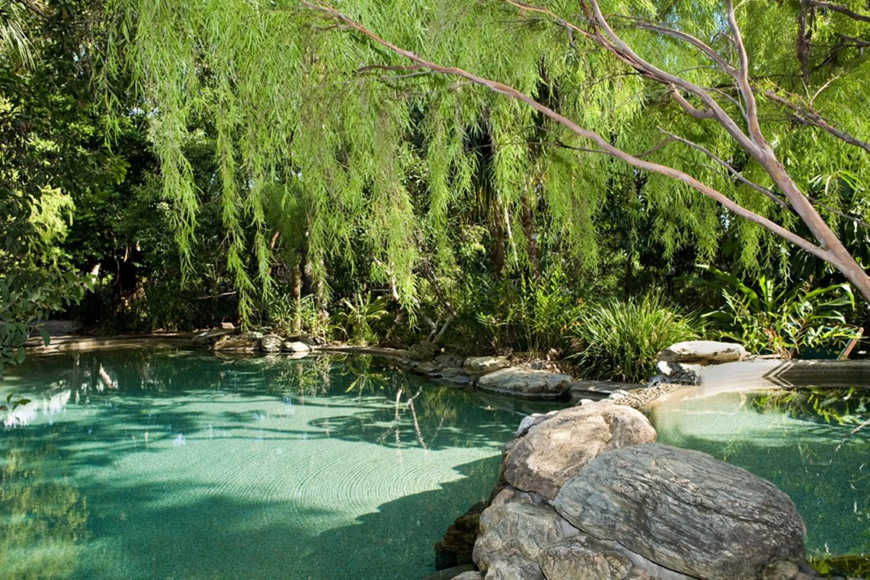Swimming Pool in Thala Beach Nature Reserve