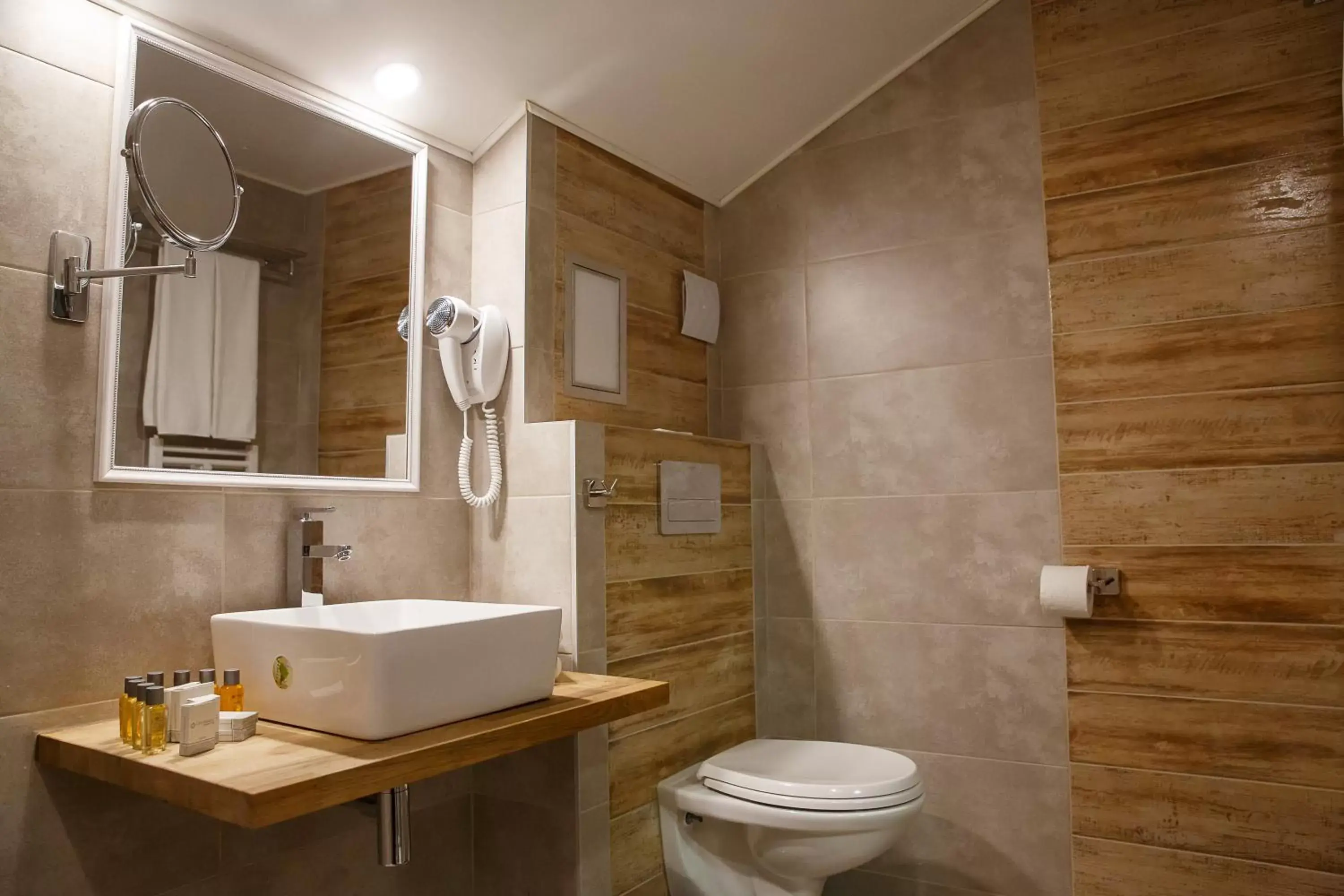 Other, Bathroom in Hotel Casa Karina Bansko - Half Board & All Inclusive