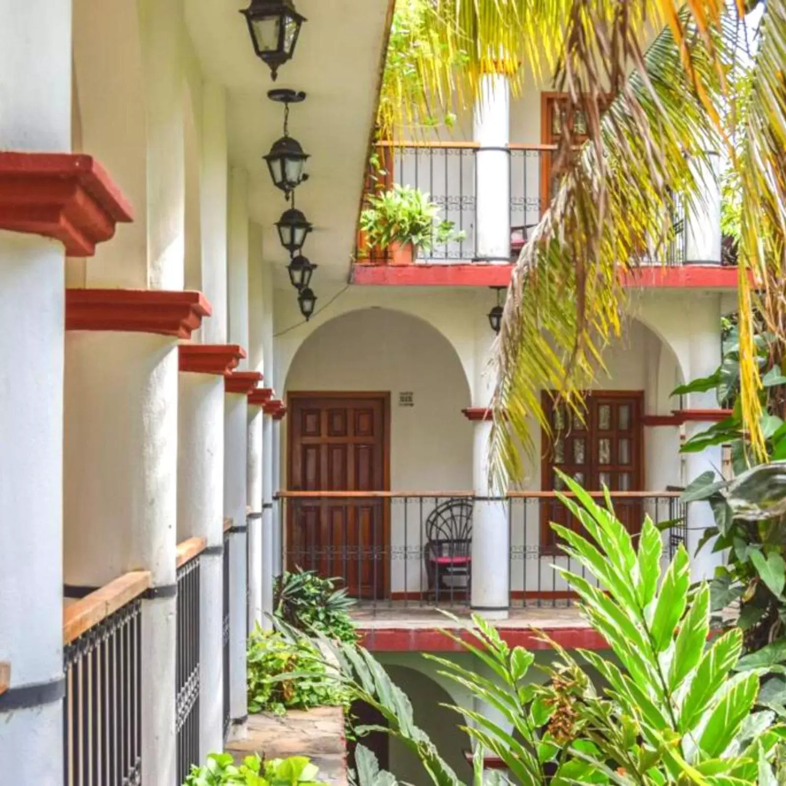 Garden in Hotel La Ceiba