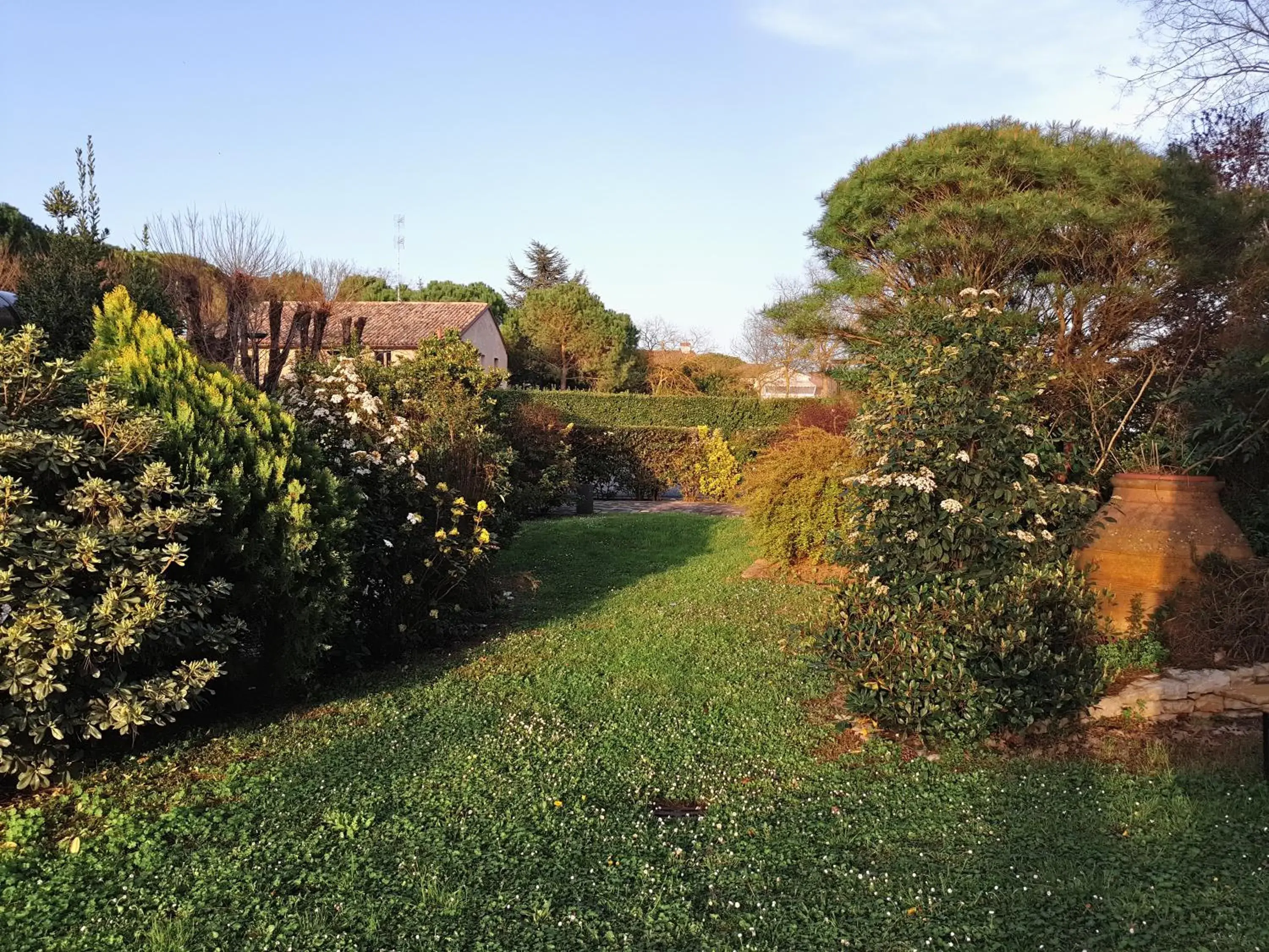 Garden in Hotel Classensis