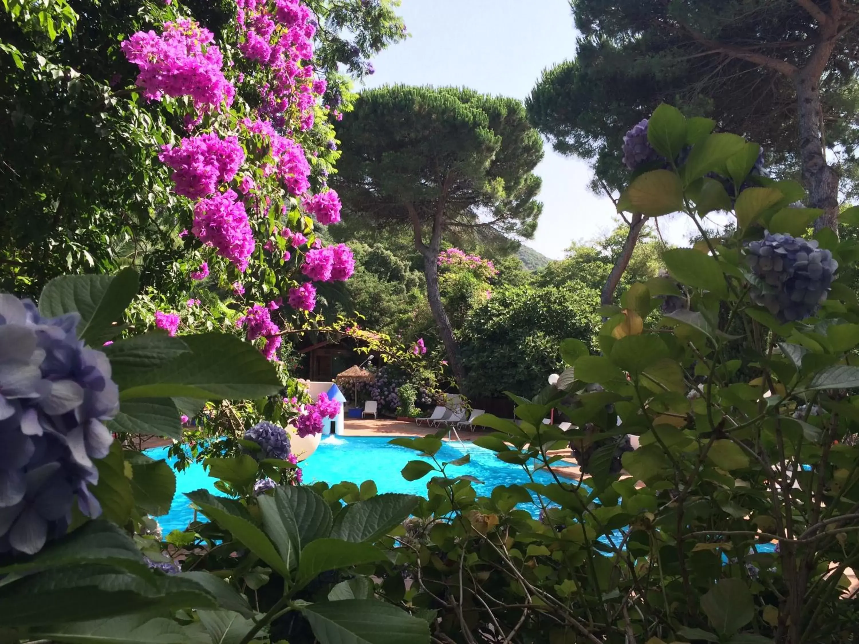 Swimming pool, Pool View in Mesón de Sancho