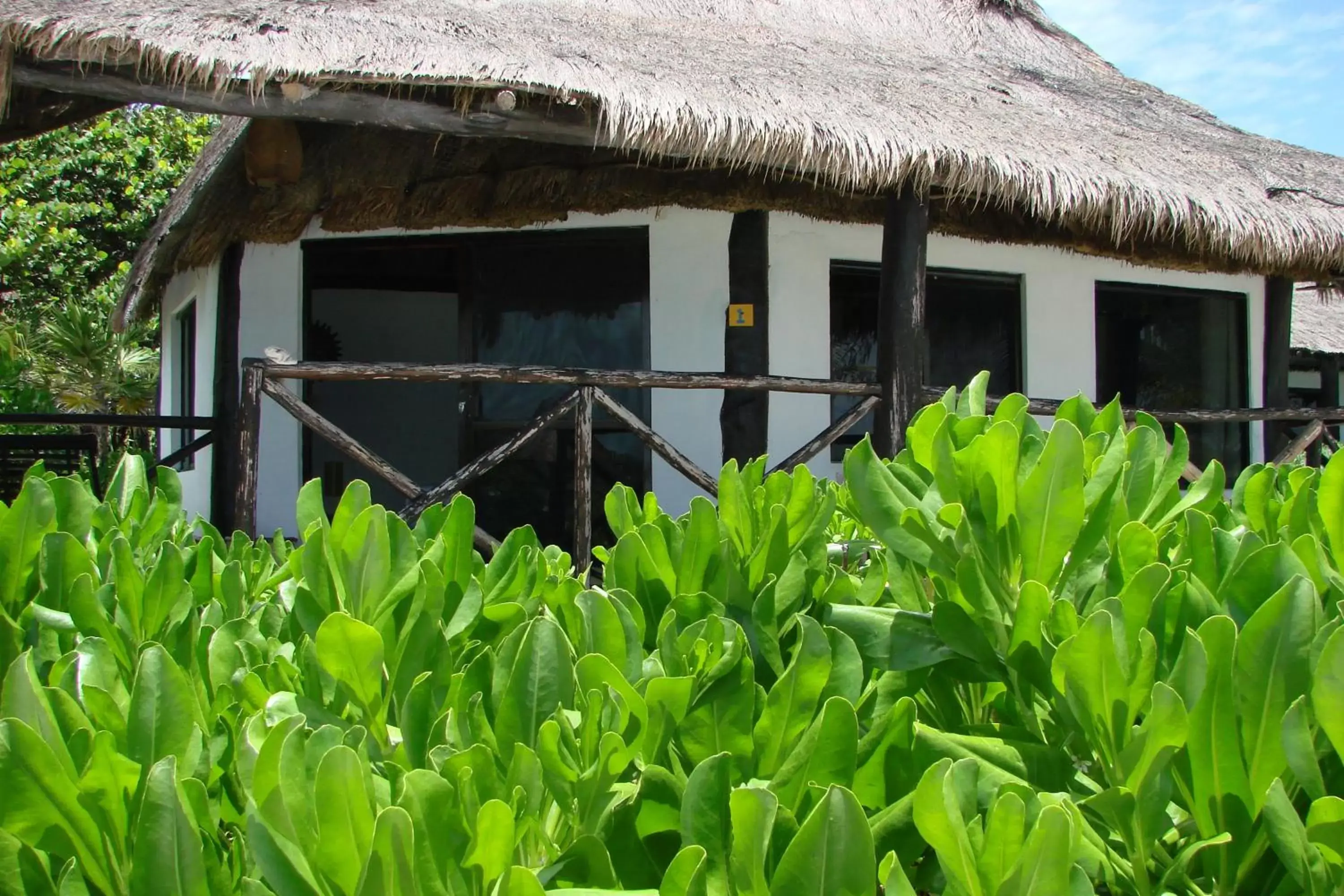 Photo of the whole room, Property Building in Hotel Poc Na Tulum