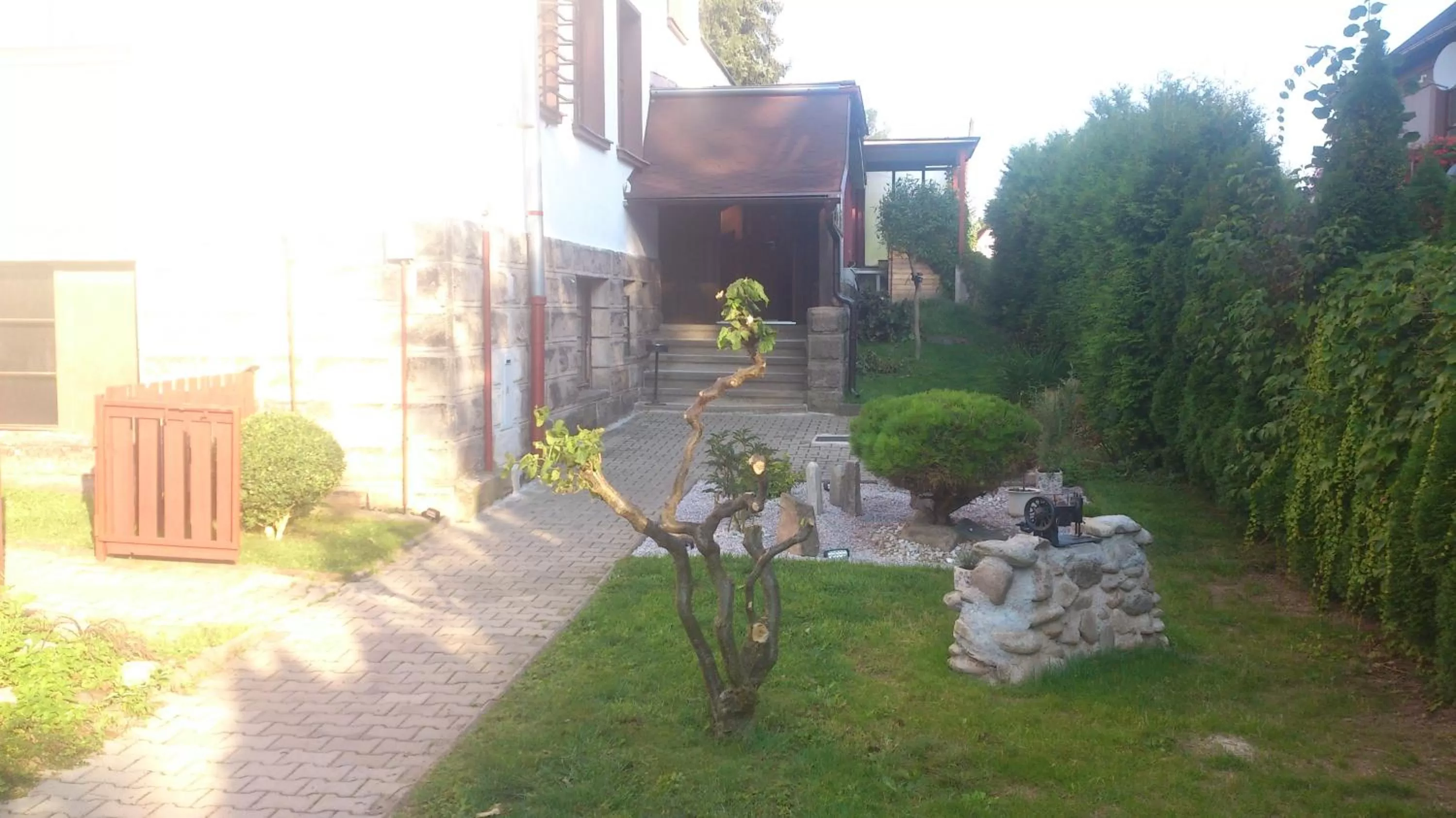 Garden in Hotel Alfa