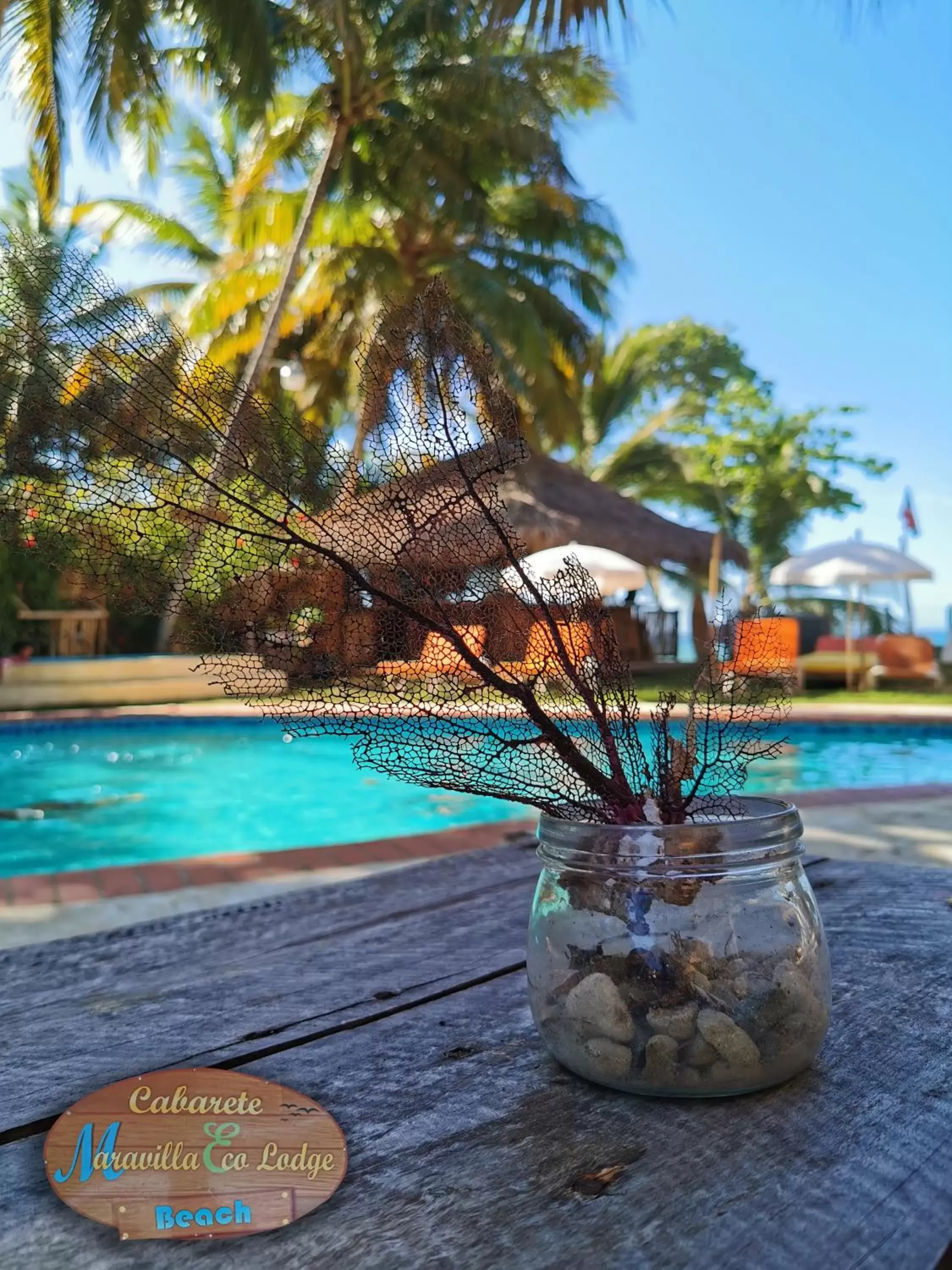 Decorative detail, Swimming Pool in Cabarete Maravilla Eco Lodge Boutique Beach Surf & Kite