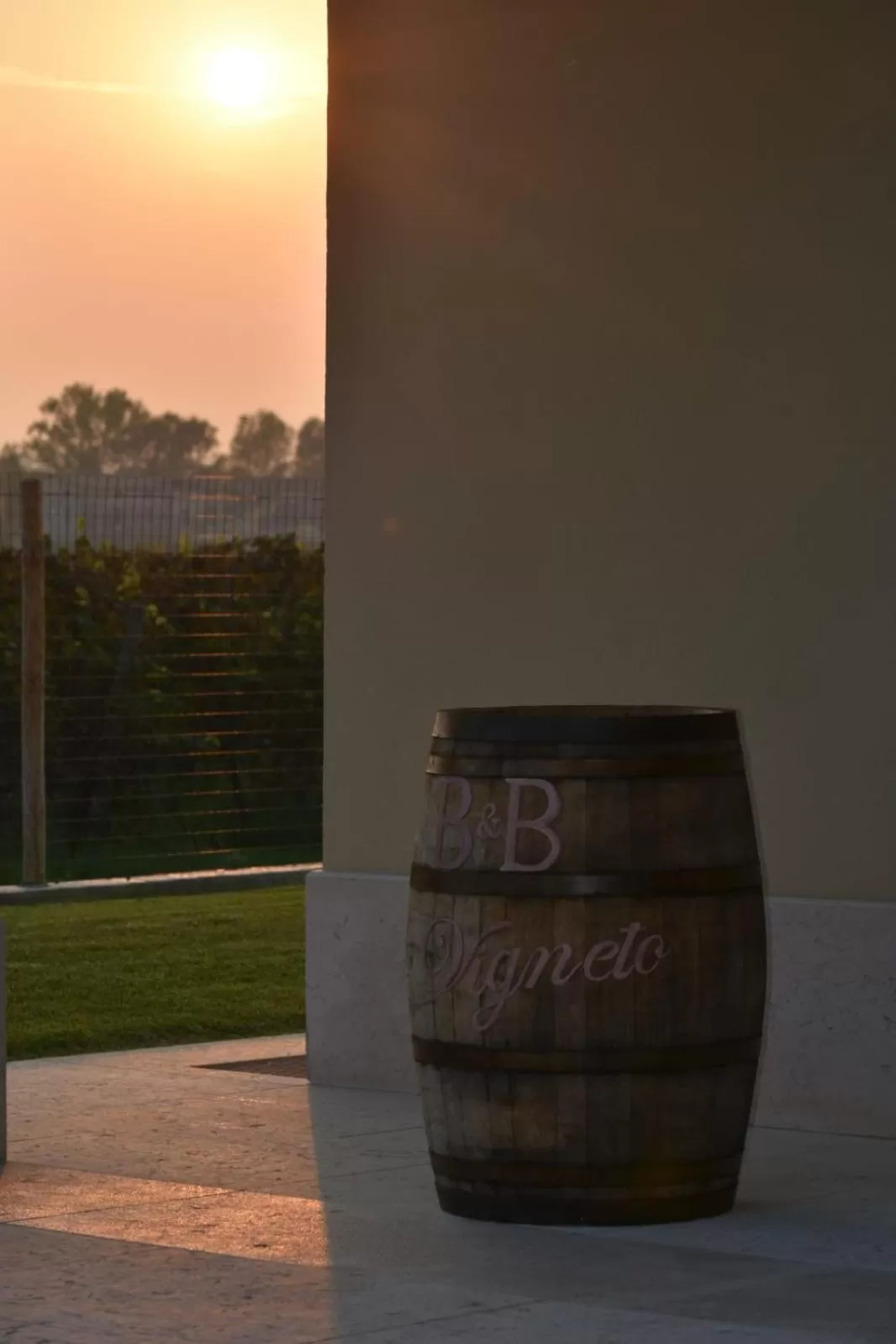 Logo/Certificate/Sign in Il Vigneto