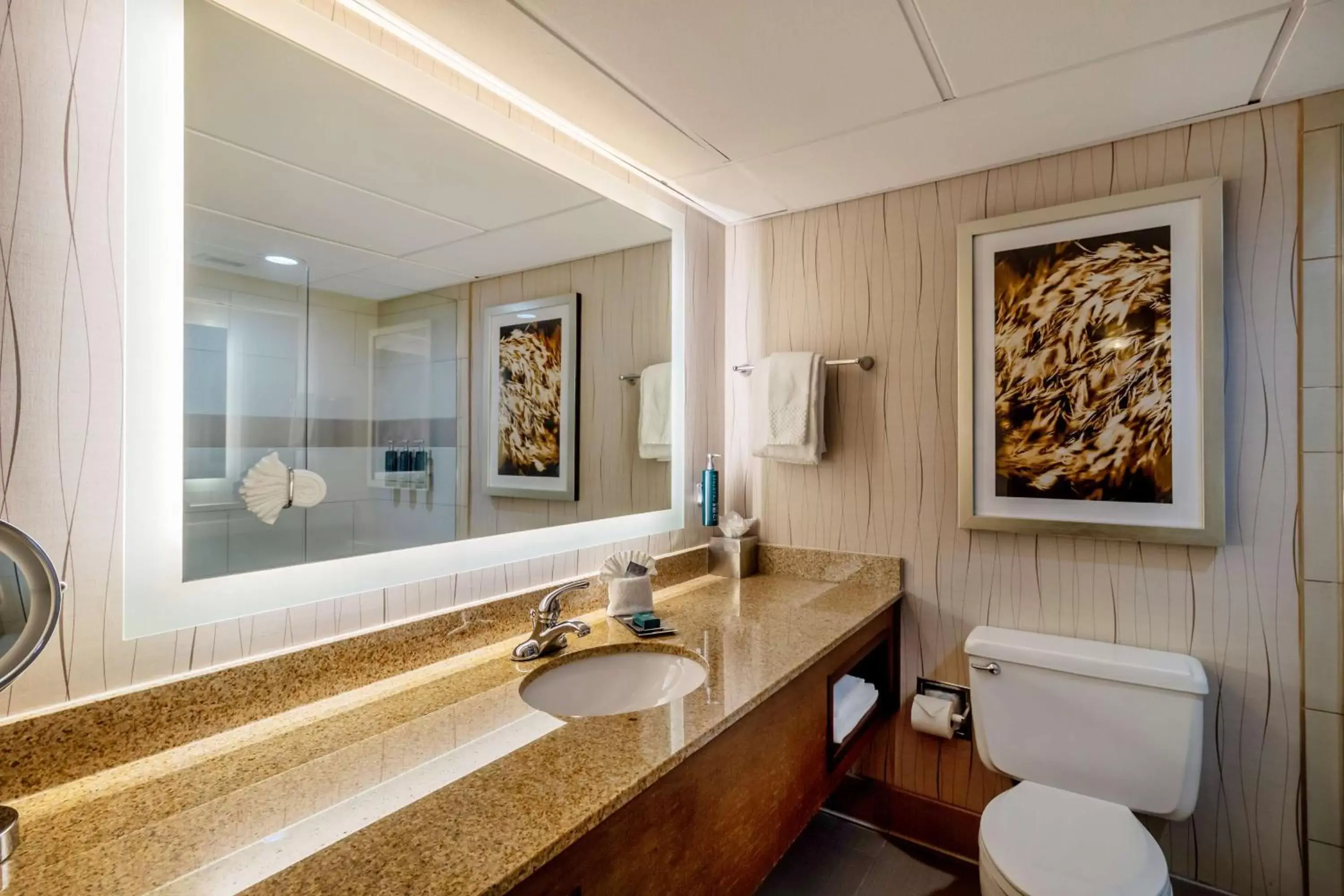 Bathroom in DoubleTree by Hilton Lawrence