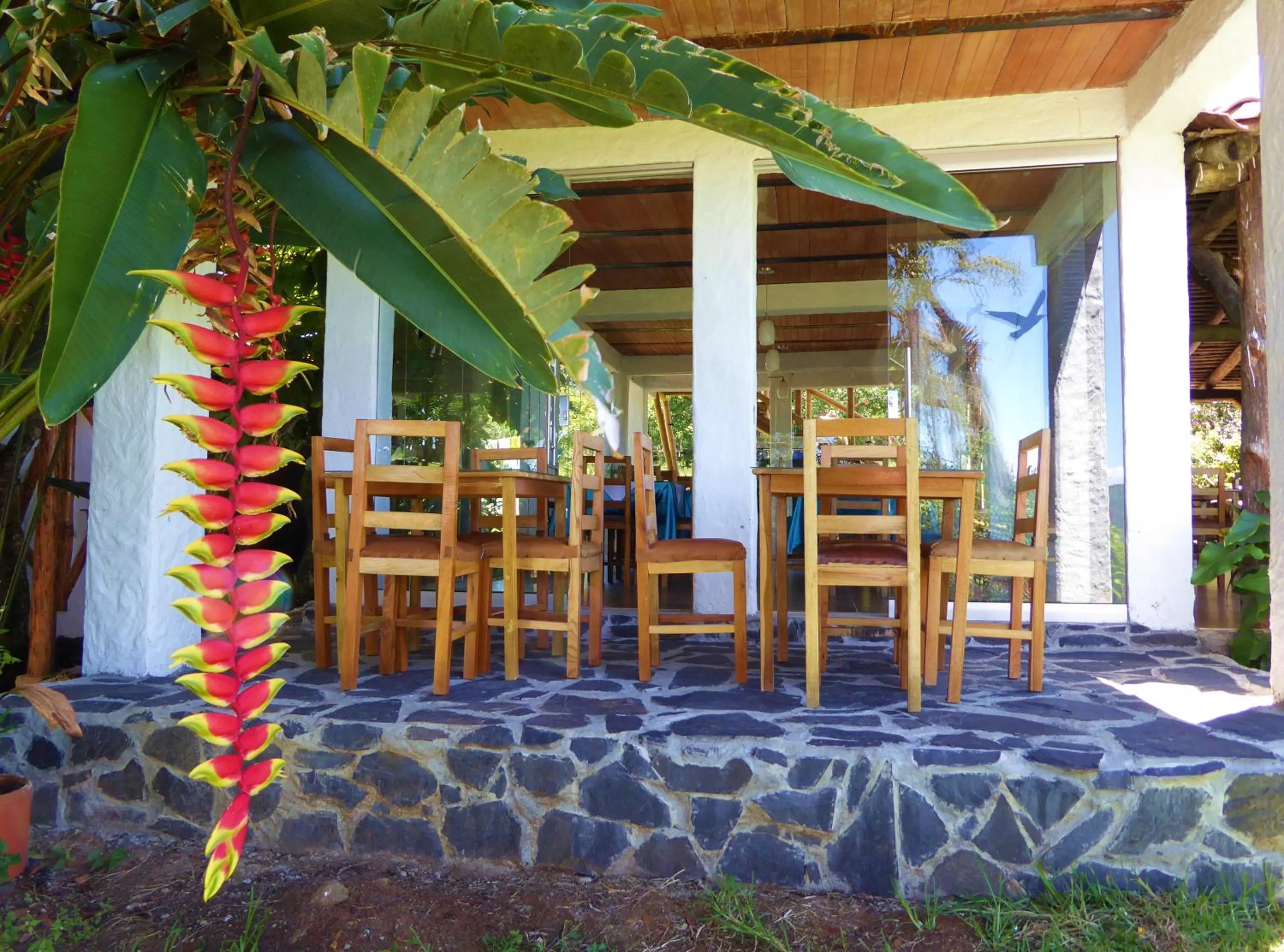Restaurant/places to eat in Finca El Cielo