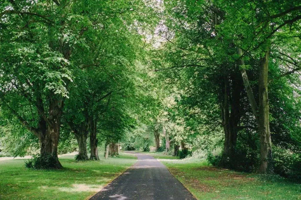 Natural landscape, Garden in Saltcote Place