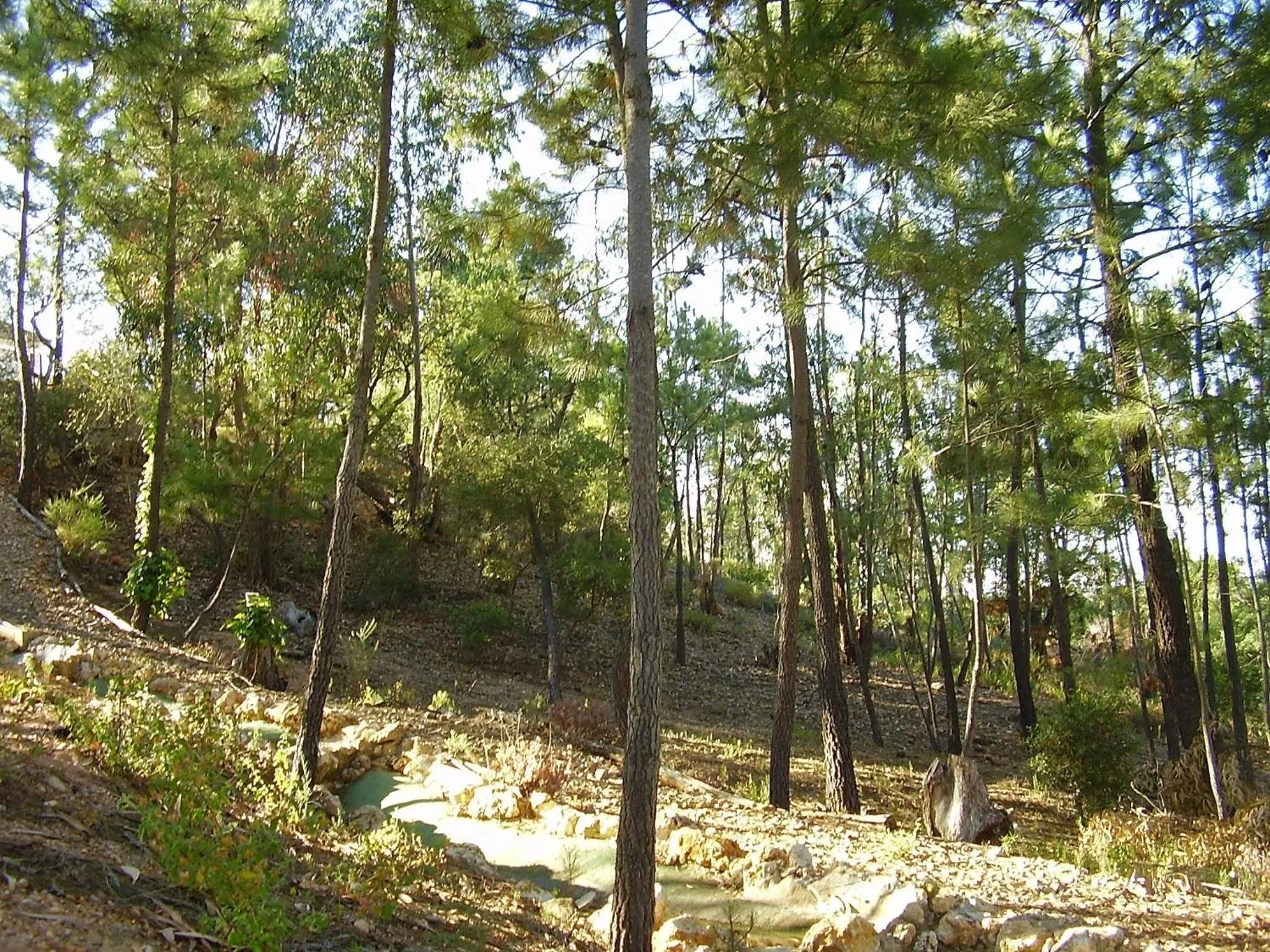 Hiking in Hotel San Miguel