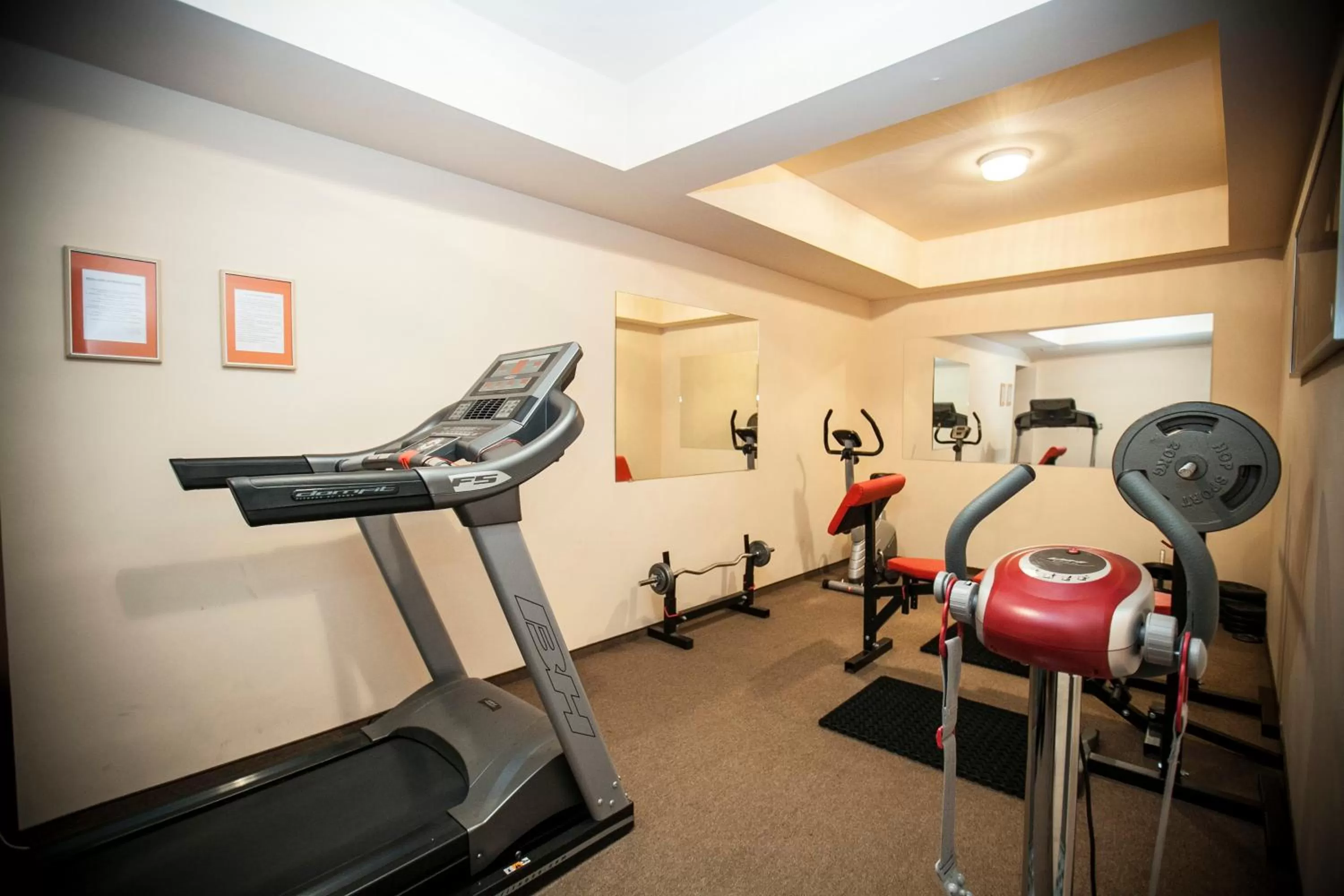 Fitness centre/facilities in Hotel Dwór Karolówka
