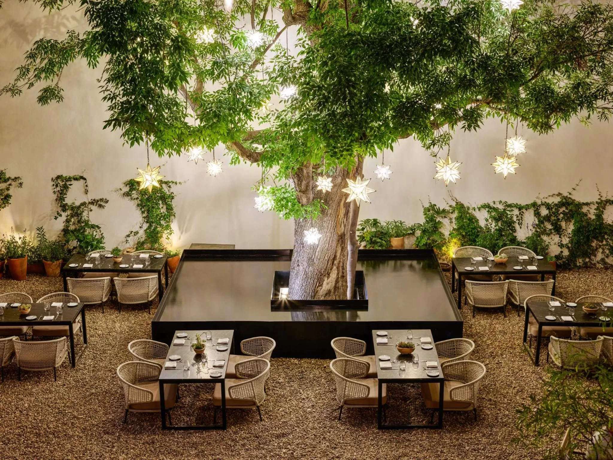 Restaurant/places to eat in Live Aqua San Miguel de Allende