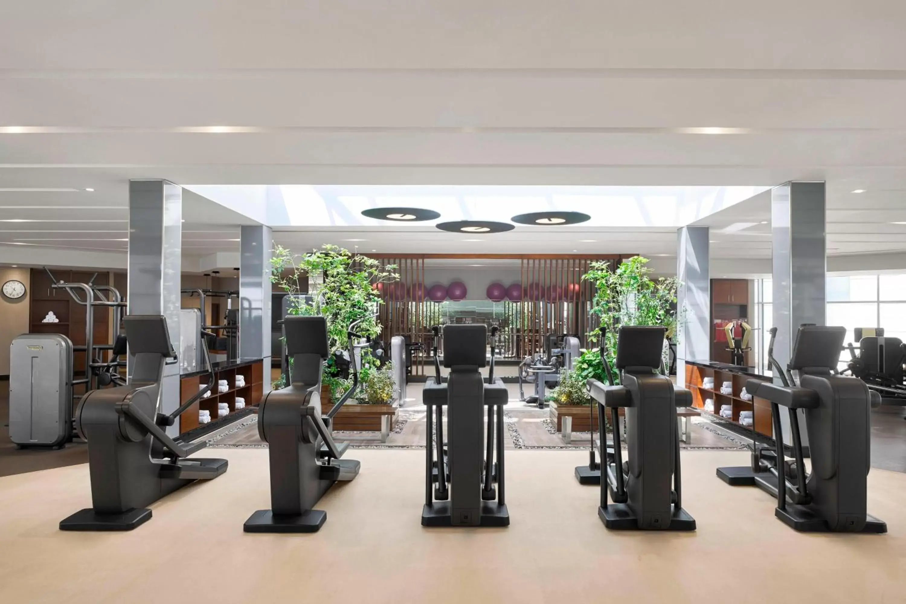 Fitness centre/facilities, Fitness Center/Facilities in Sheraton Amman Al Nabil Hotel