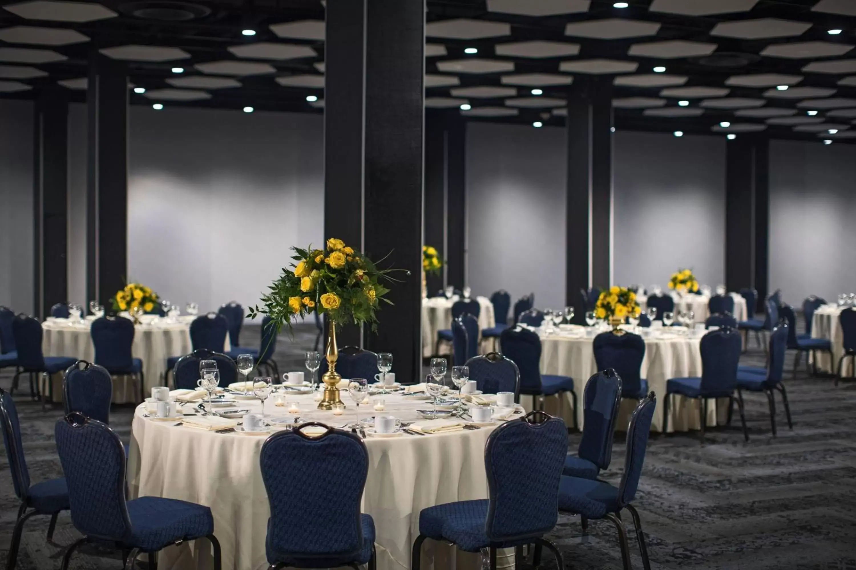 Meeting/conference room, Banquet Facilities in Renaissance Cleveland Hotel