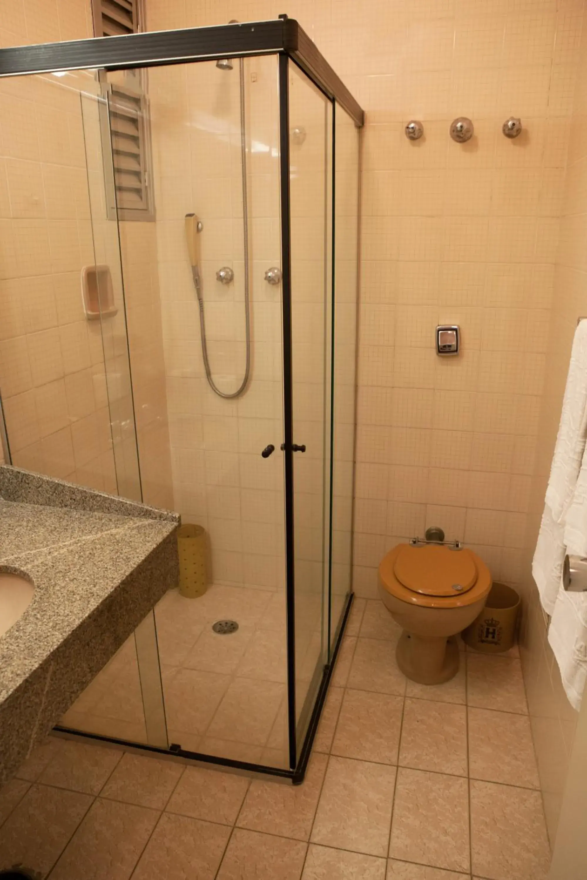 Toilet, Bathroom in Hotel Gran Corona