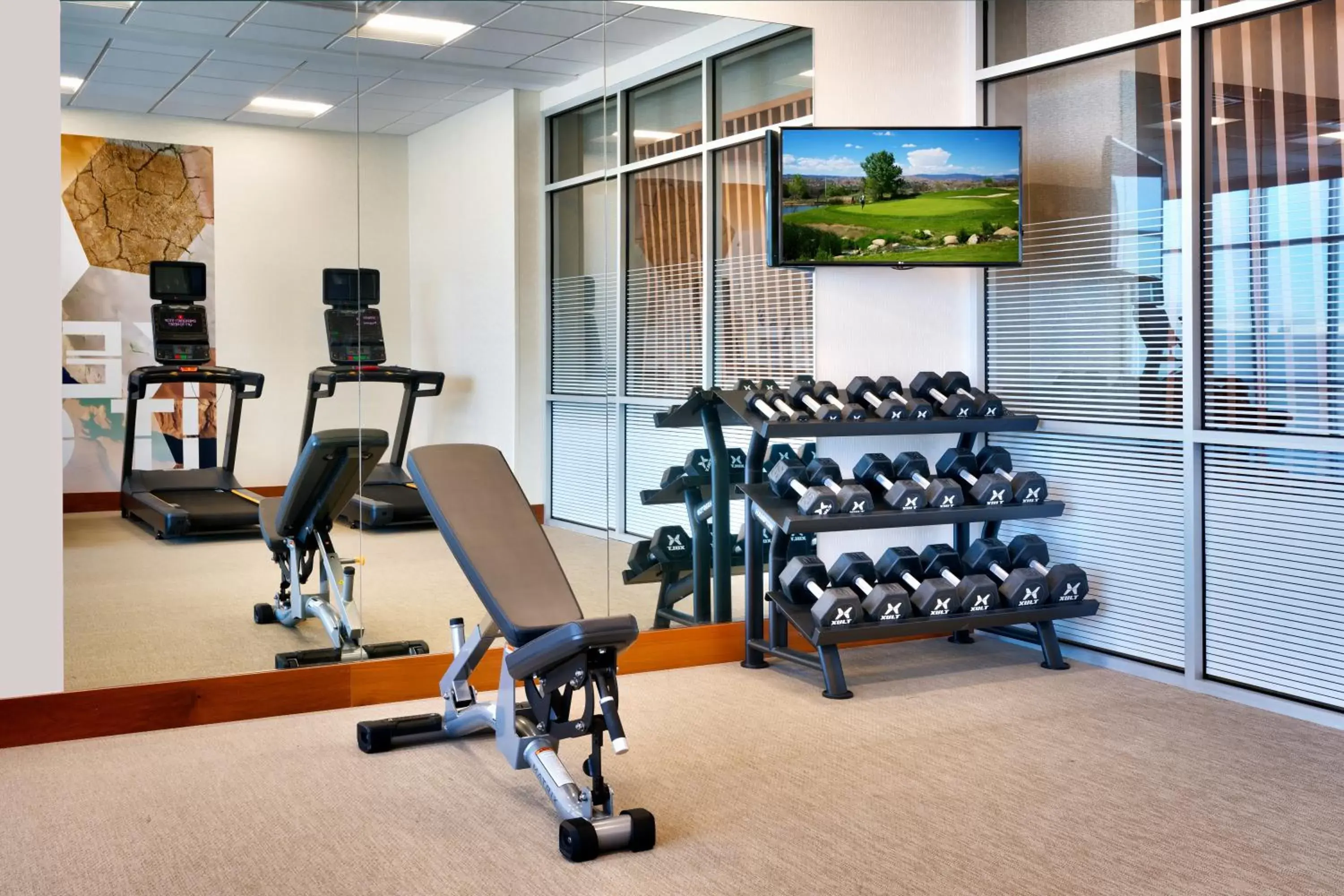 Fitness Center/Facilities in SpringHill Suites by Marriott Cottonwood