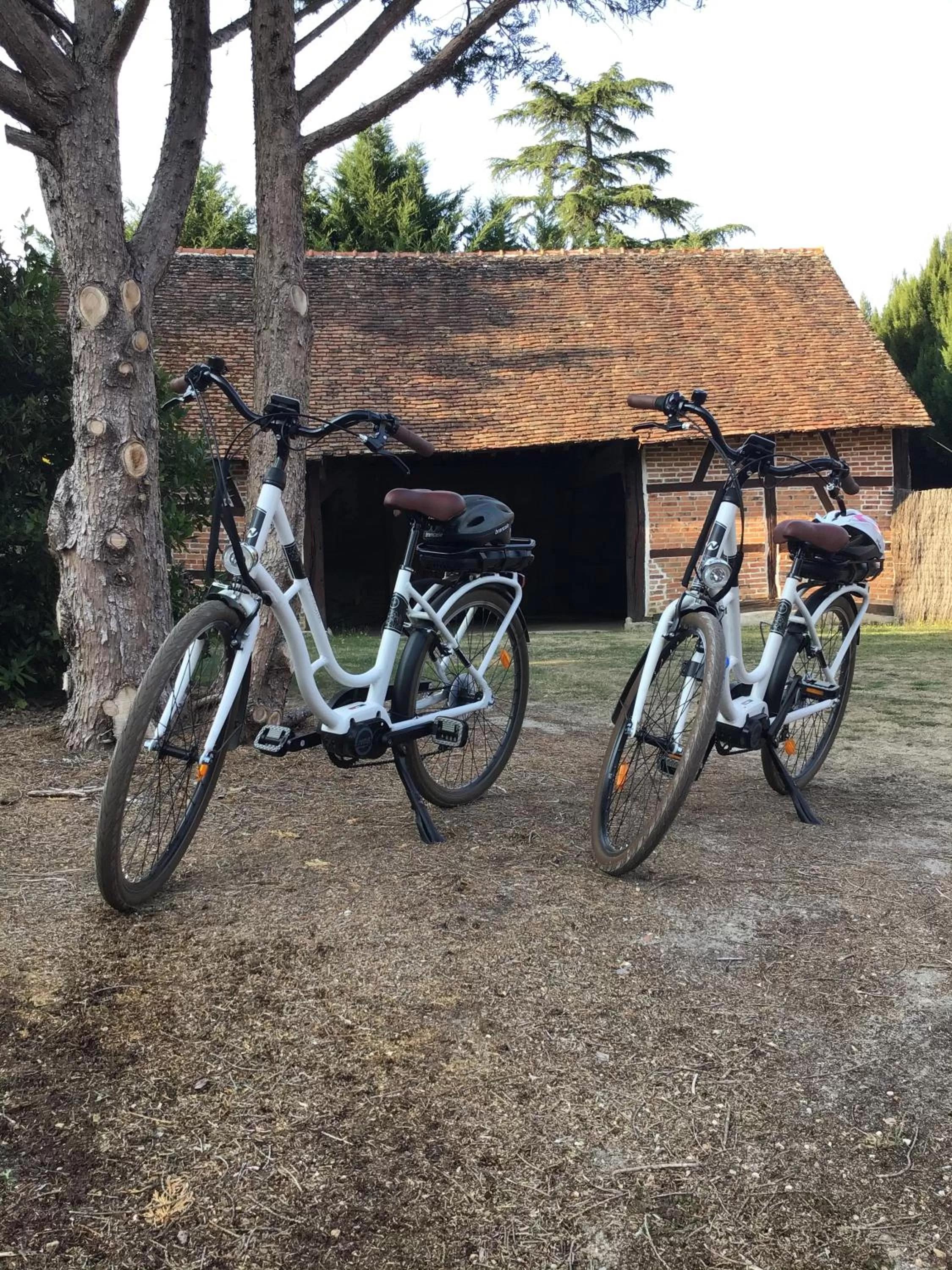 Cycling in Ferme Boisquillon