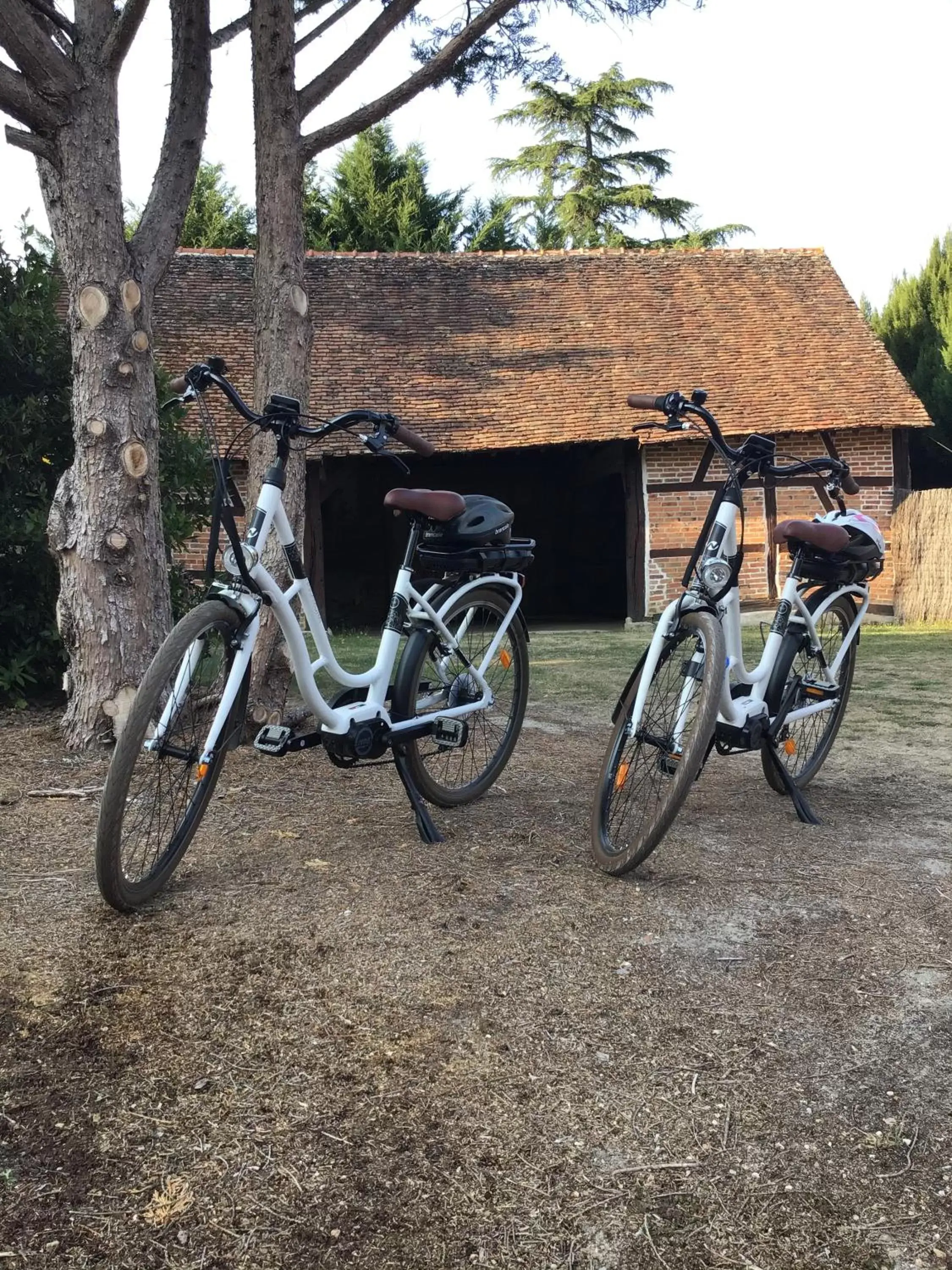 Cycling, Other Activities in Ferme Boisquillon