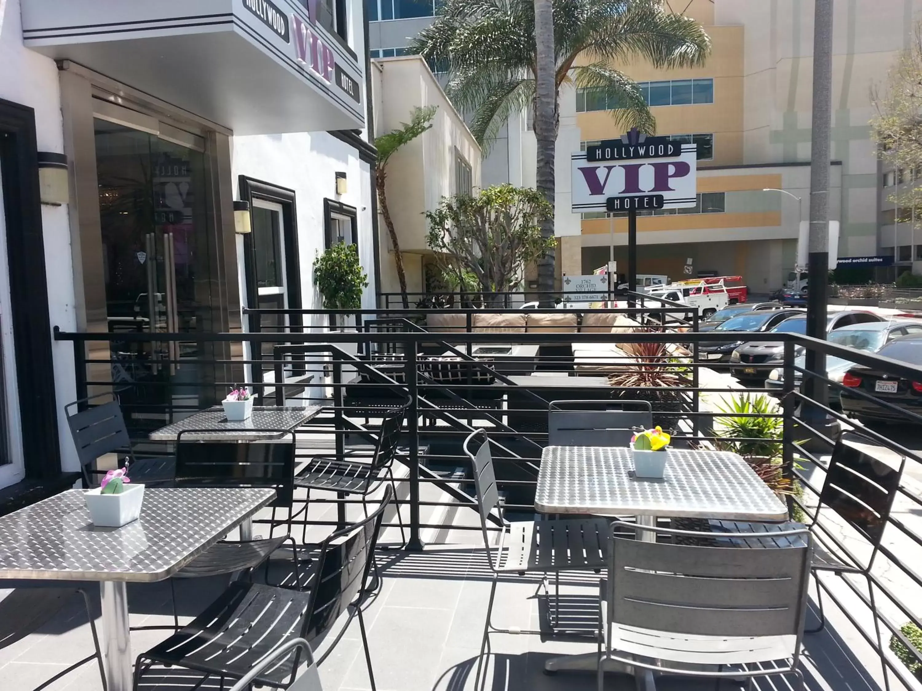 Restaurant/Places to Eat in Hollywood VIP Hotel