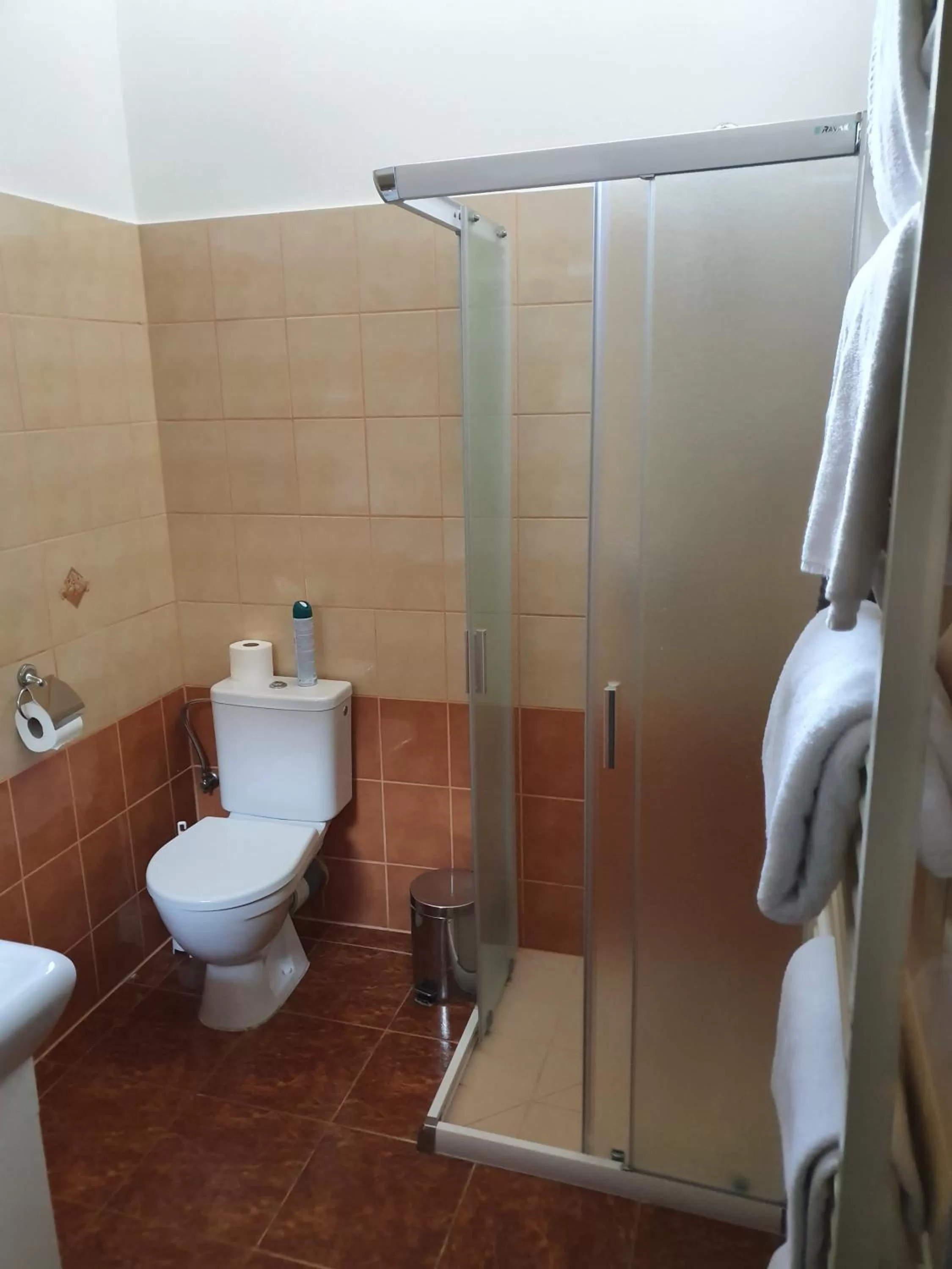 Shower in Hotel Palác