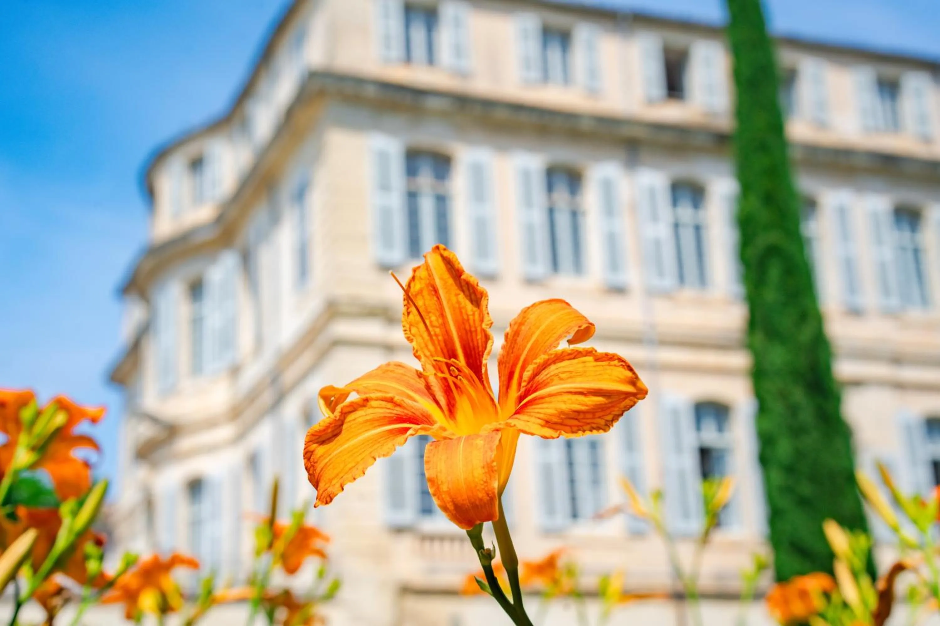 Property building in Château de Mazan, BW Premier Collection by Best Western