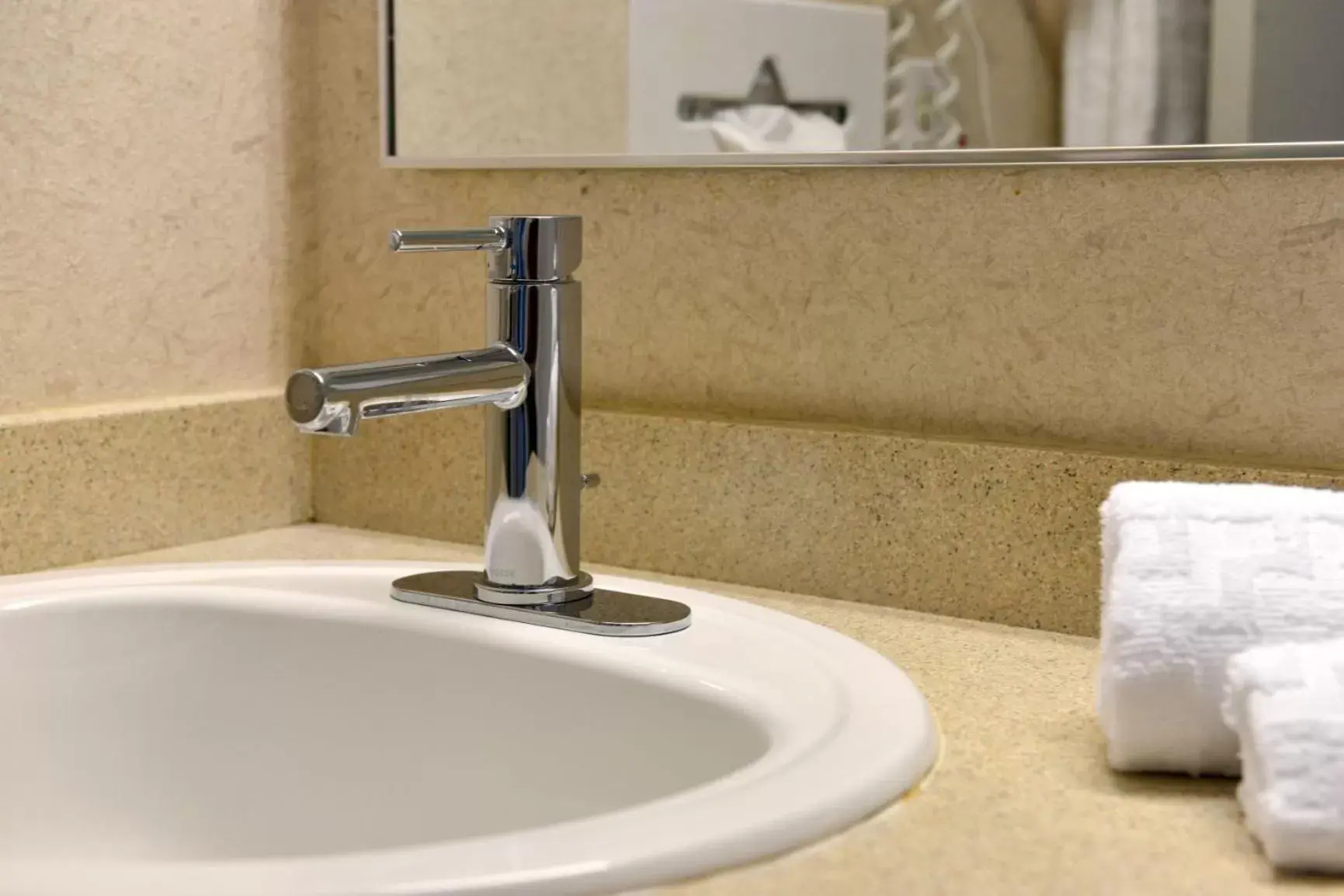 Bathroom in Best Western Kirkwood Inn