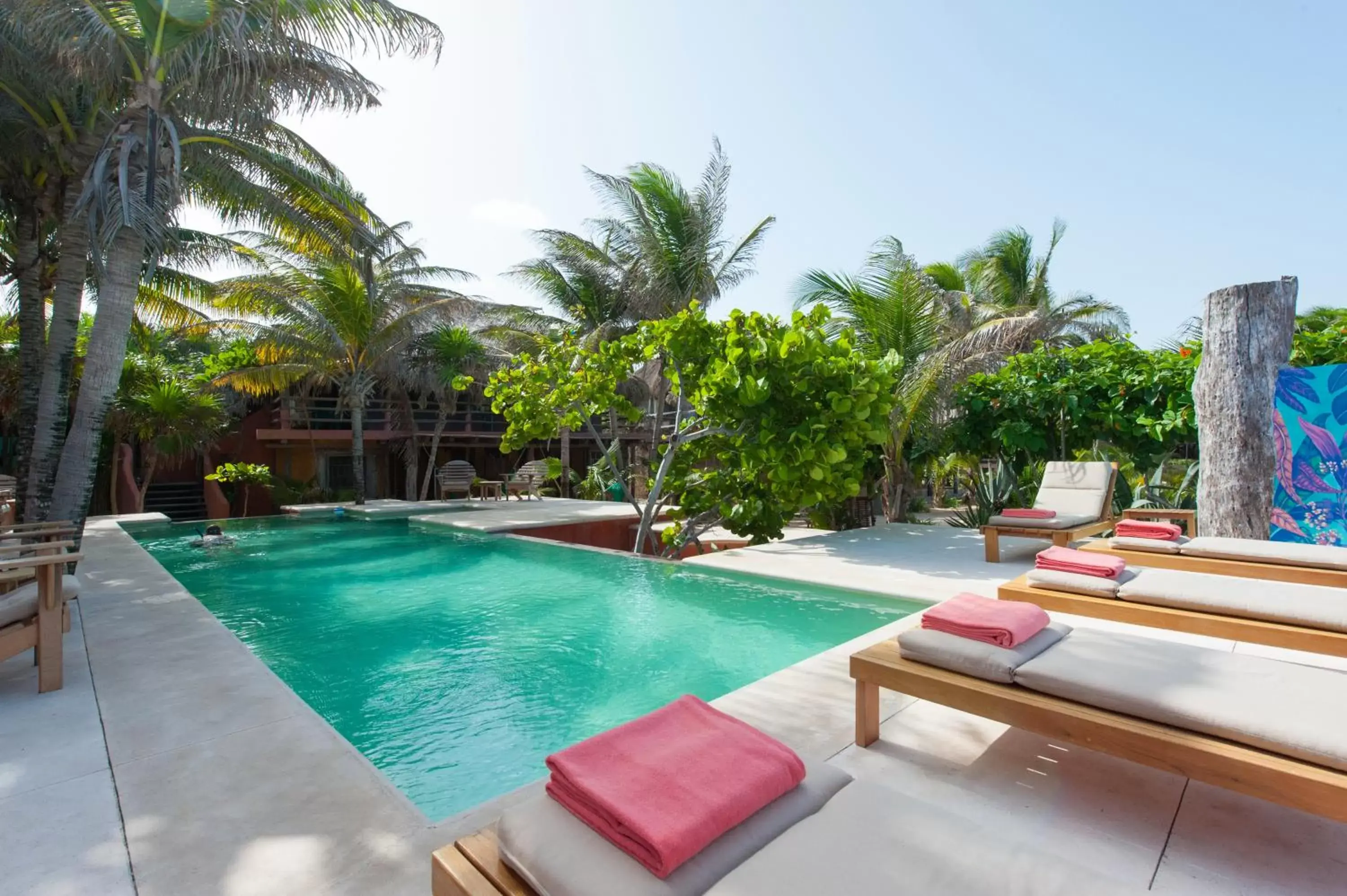 Pool view, Swimming Pool in Zamas Hotel