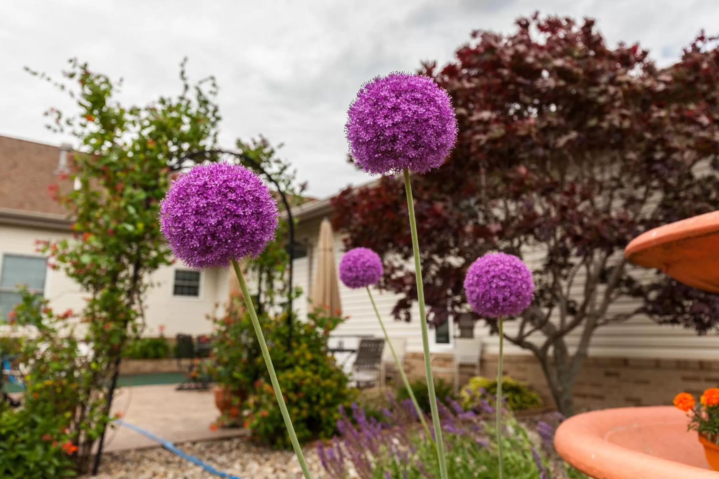 Scottish Bed & Breakfast