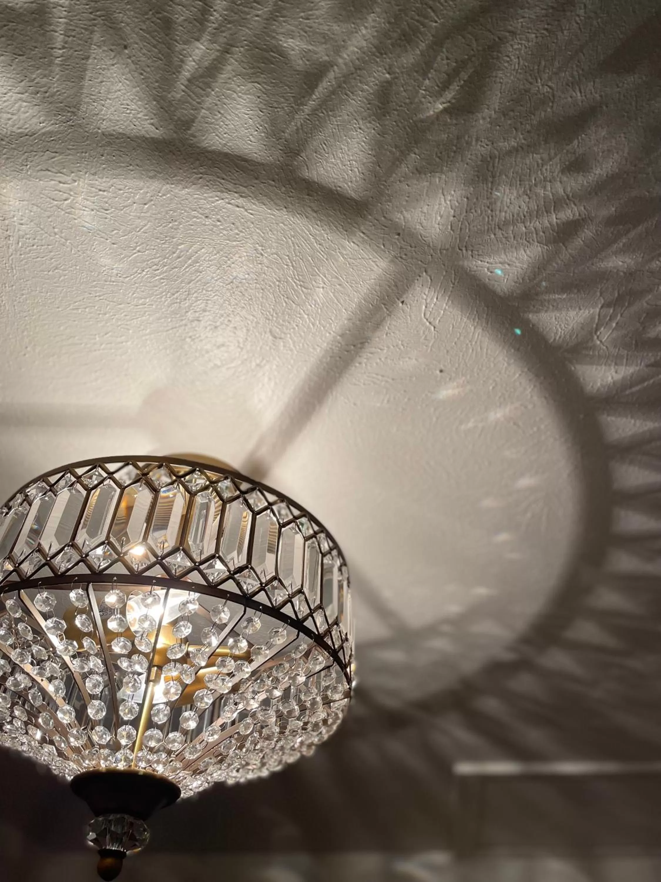 Decorative detail in Flora House Denver