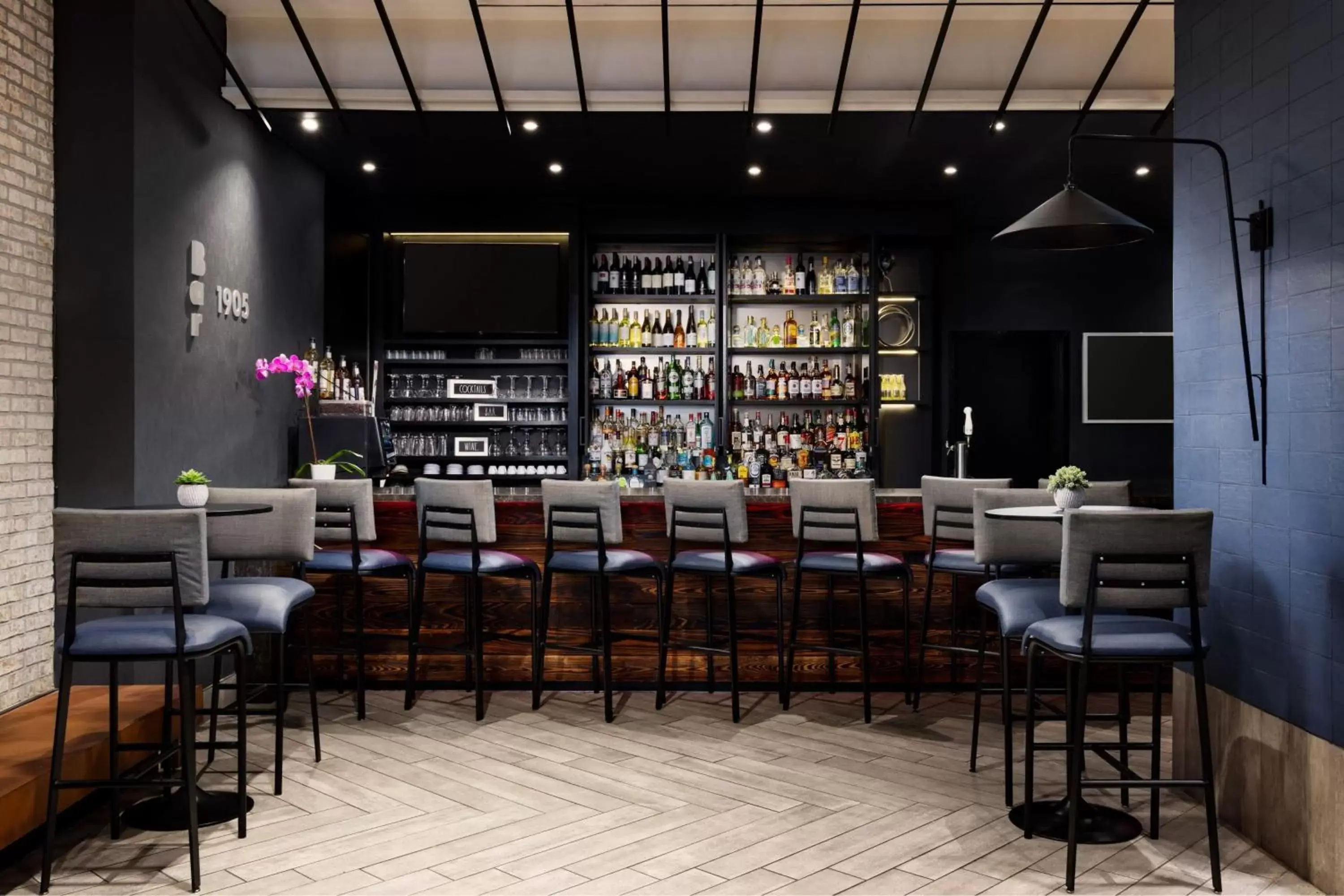 Restaurant/places to eat, Lounge/Bar in SpringHill Suites by Marriott New York Manhattan/Times Square South