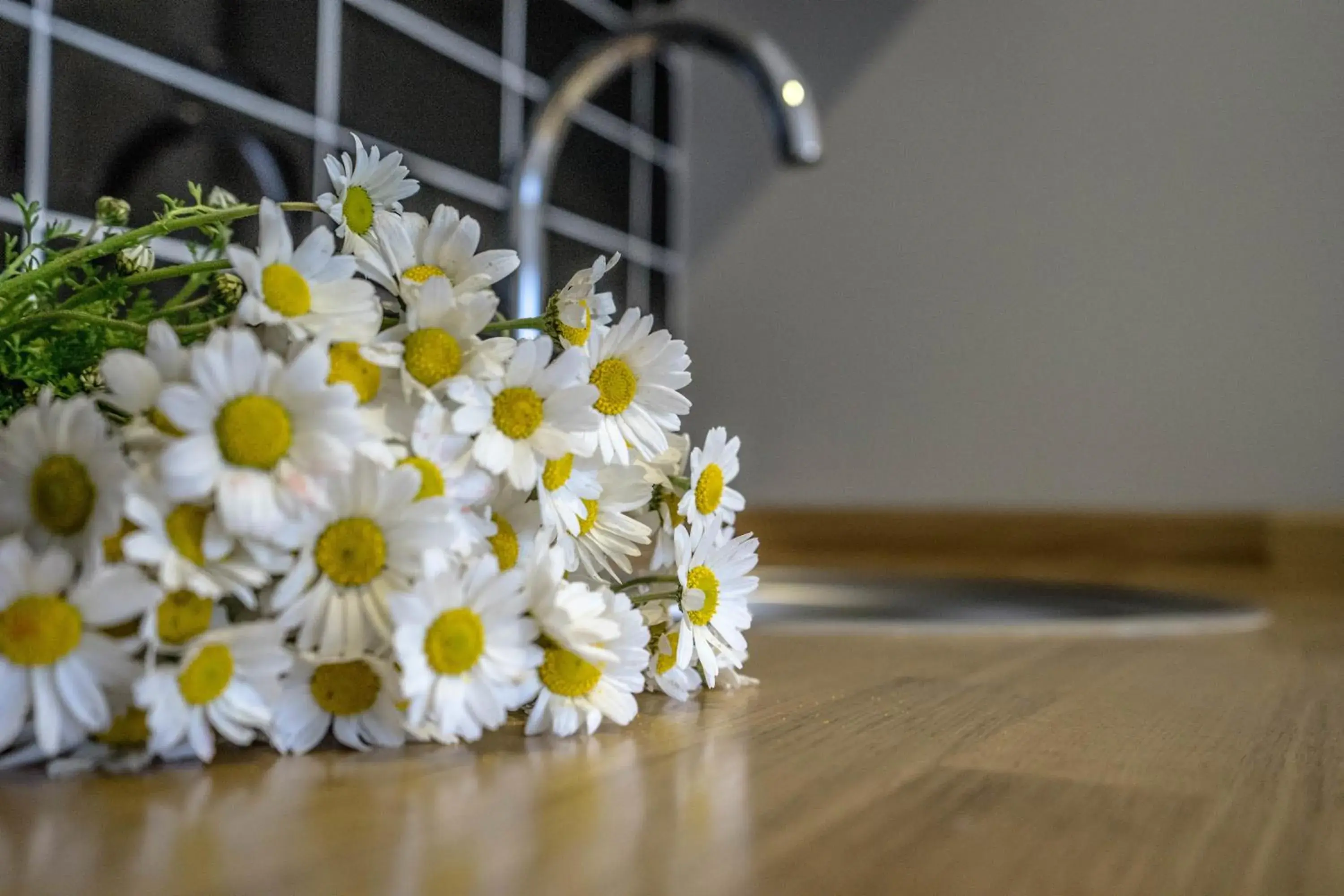 Kitchen or kitchenette in Ada Home Istanbul Kitchen or kitchenette in Ada Home Istanbul