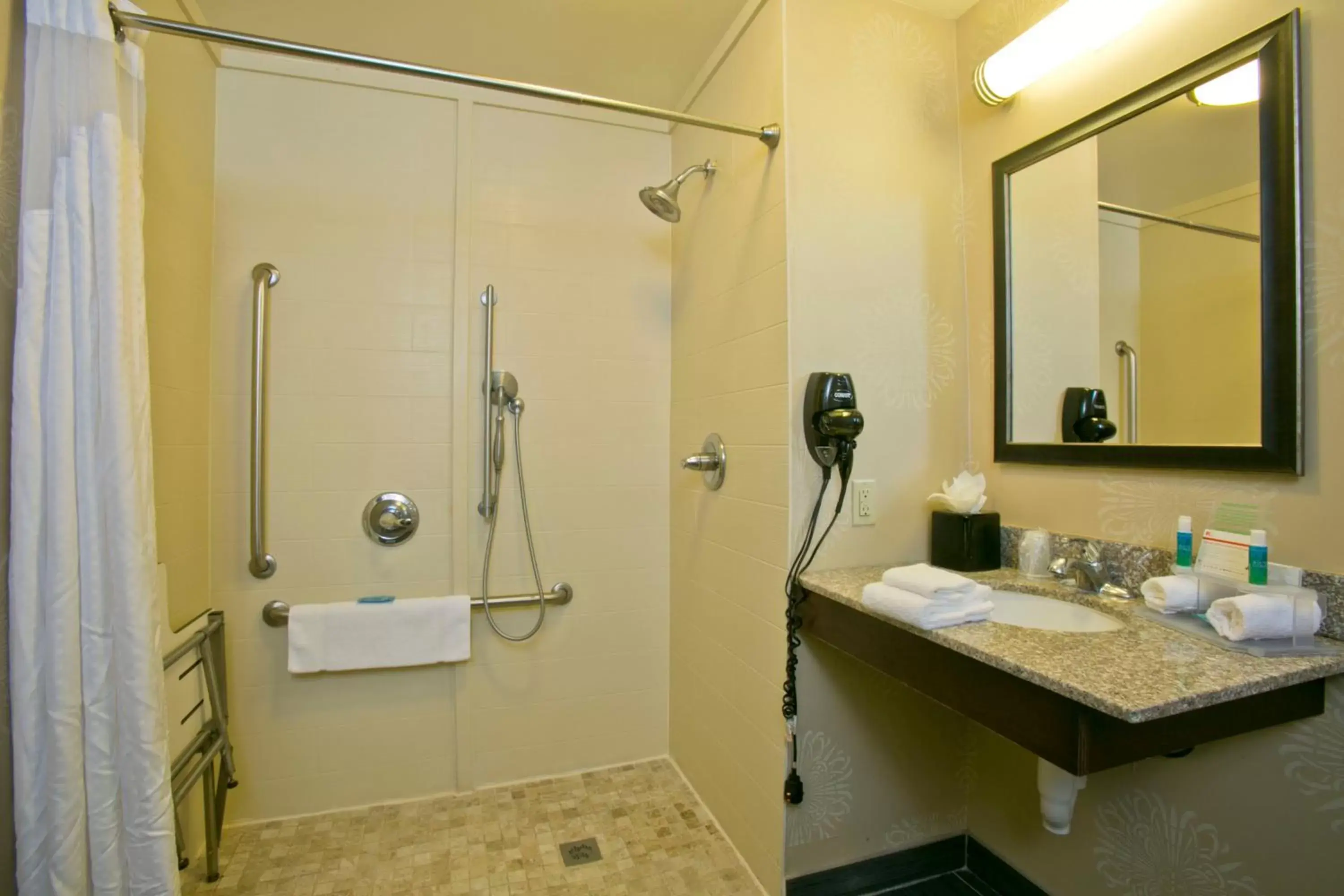 Bathroom in Holiday Inn Express & Suites Brookhaven, an IHG Hotel