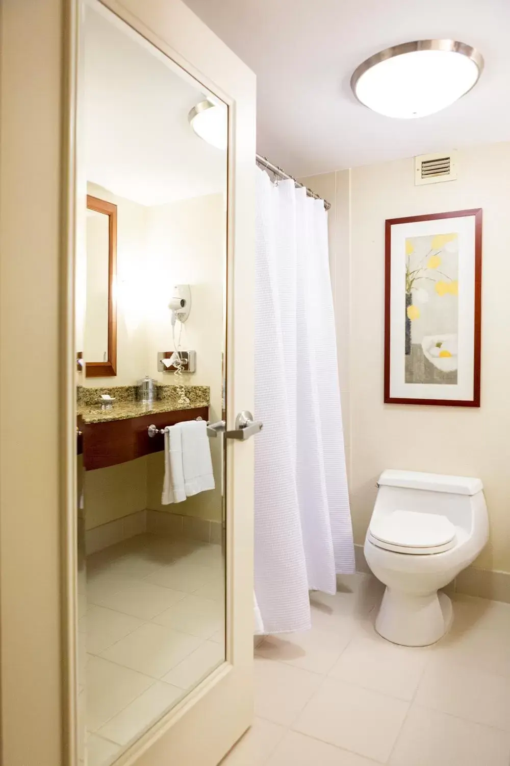 Toilet, Bathroom in San Carlos Hotel New York