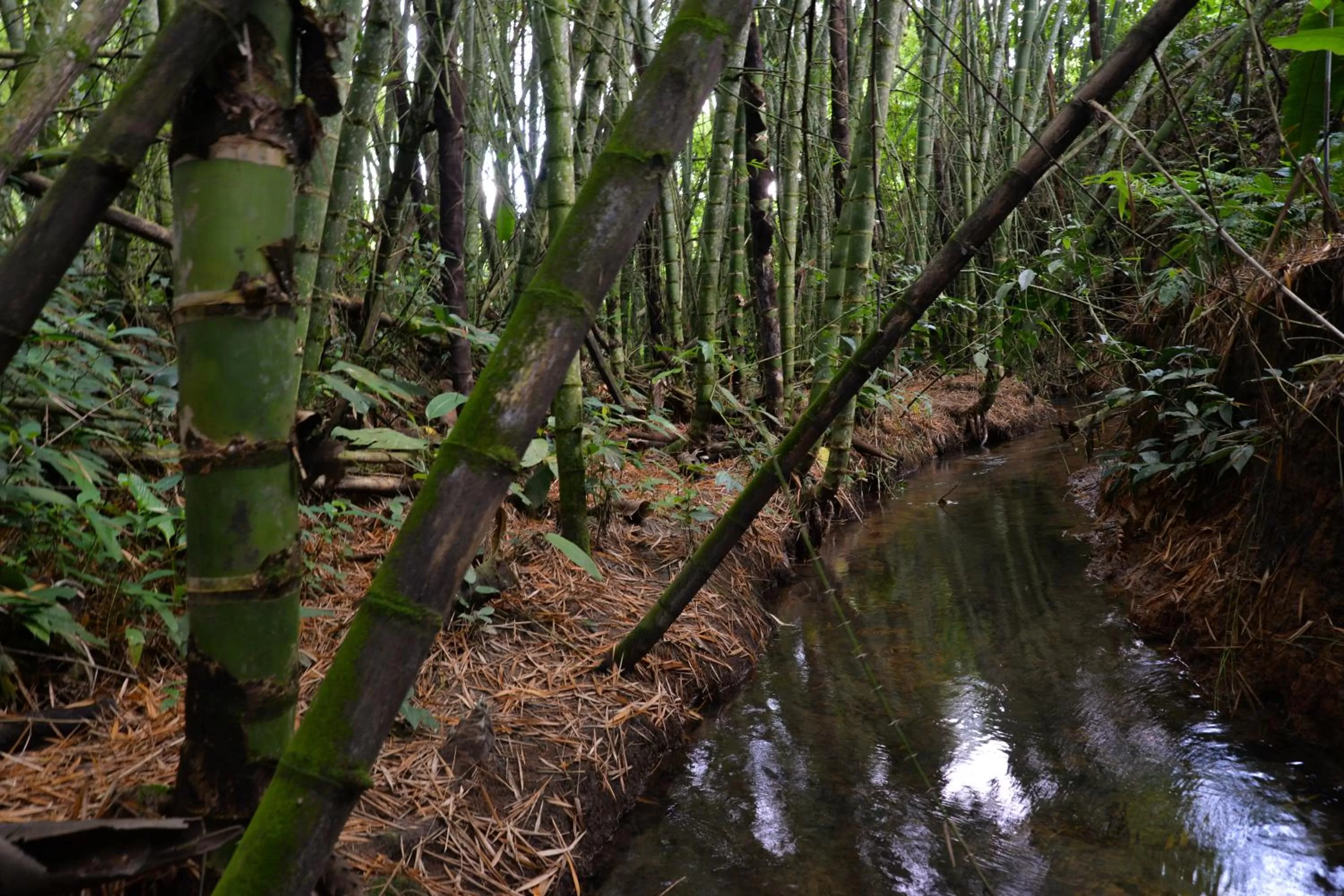 Natural landscape in Balsora Hotel Boutique