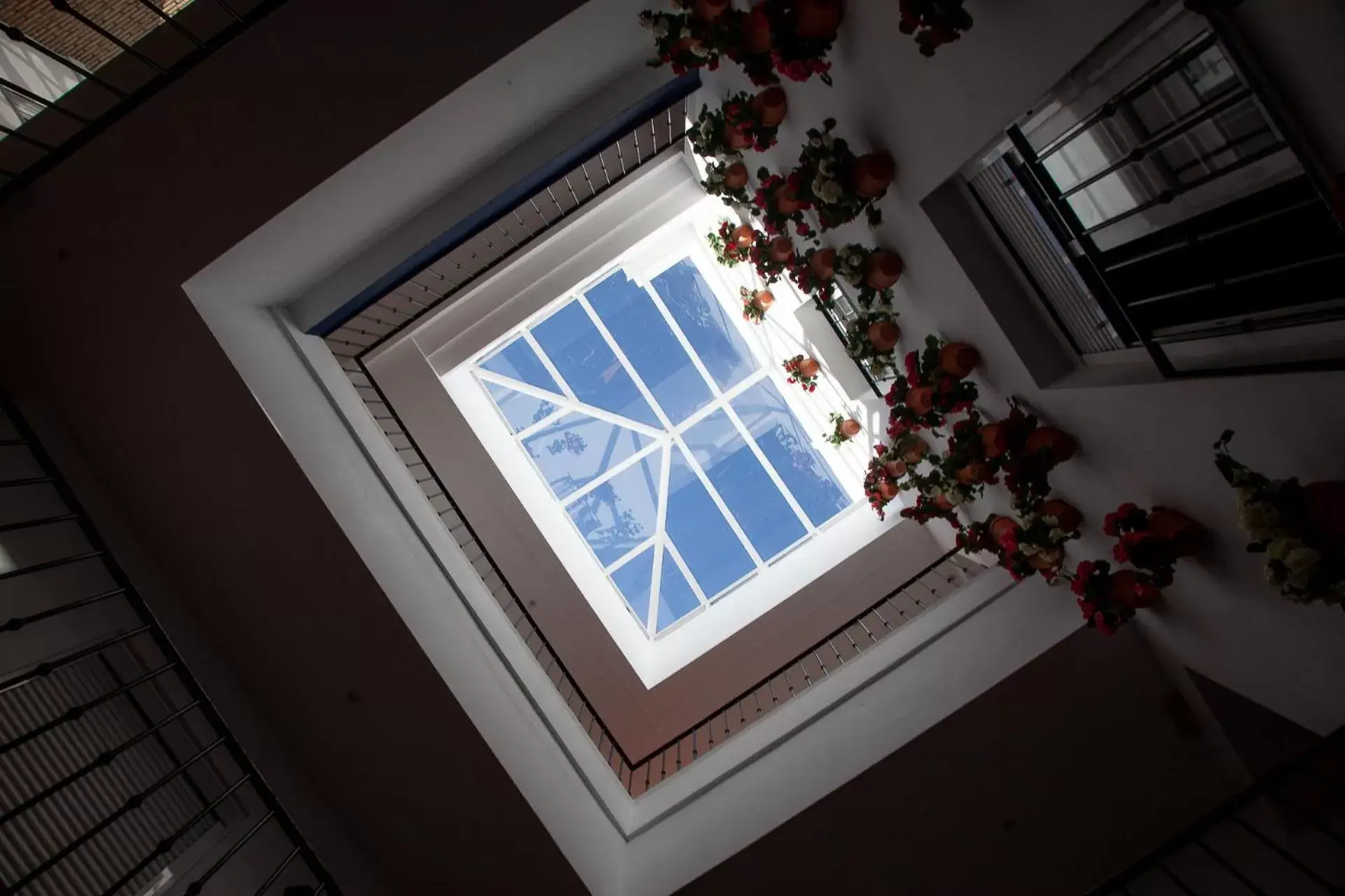 Decorative detail, Pool View in Noches en Triana