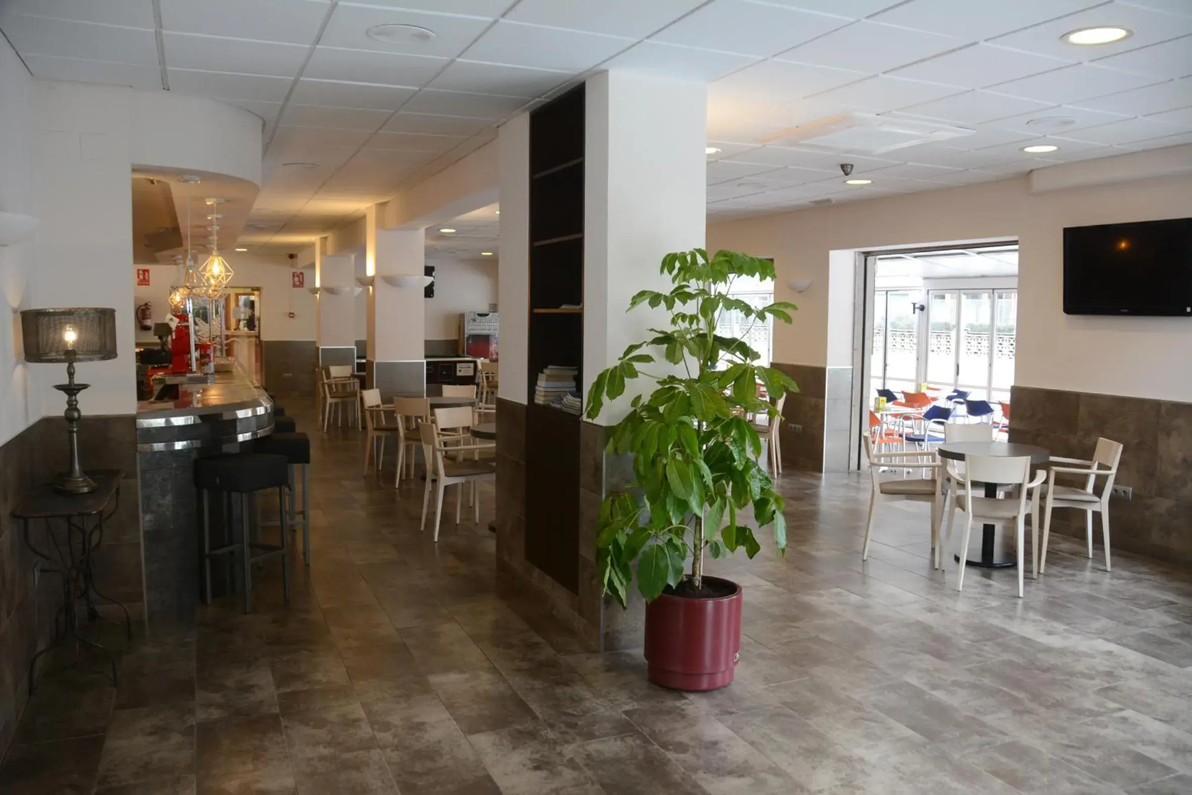 Lounge or bar, Restaurant/Places to Eat in Hotel Stella Maris