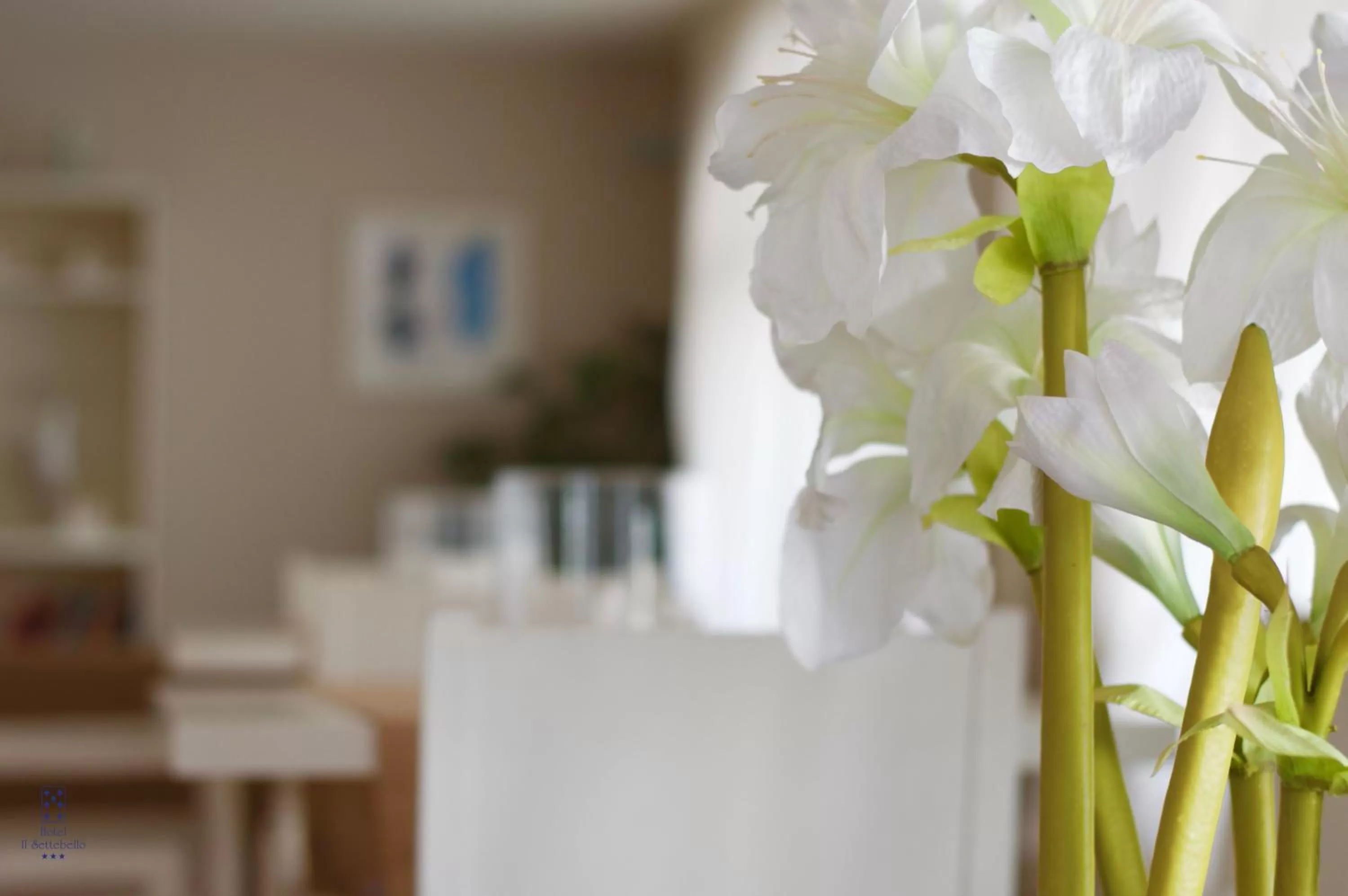 Other in HG Hotel Il Settebello