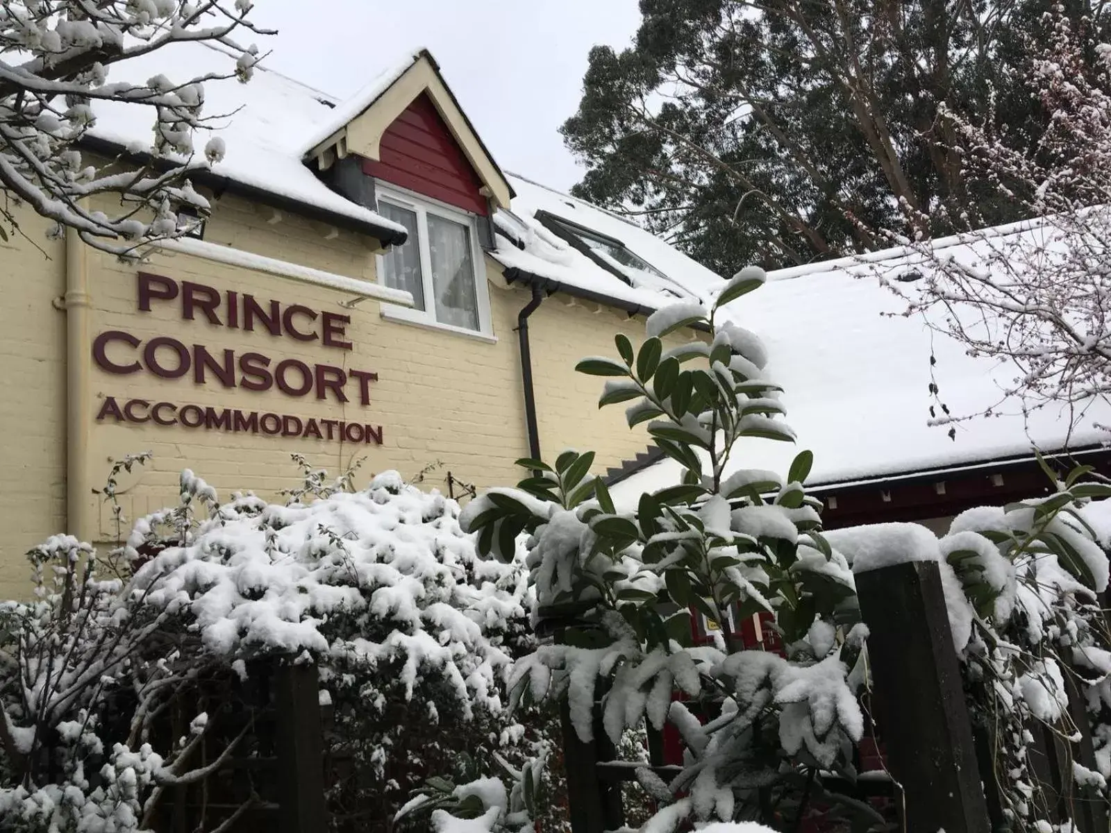 Property building, Winter in The Prince Consort