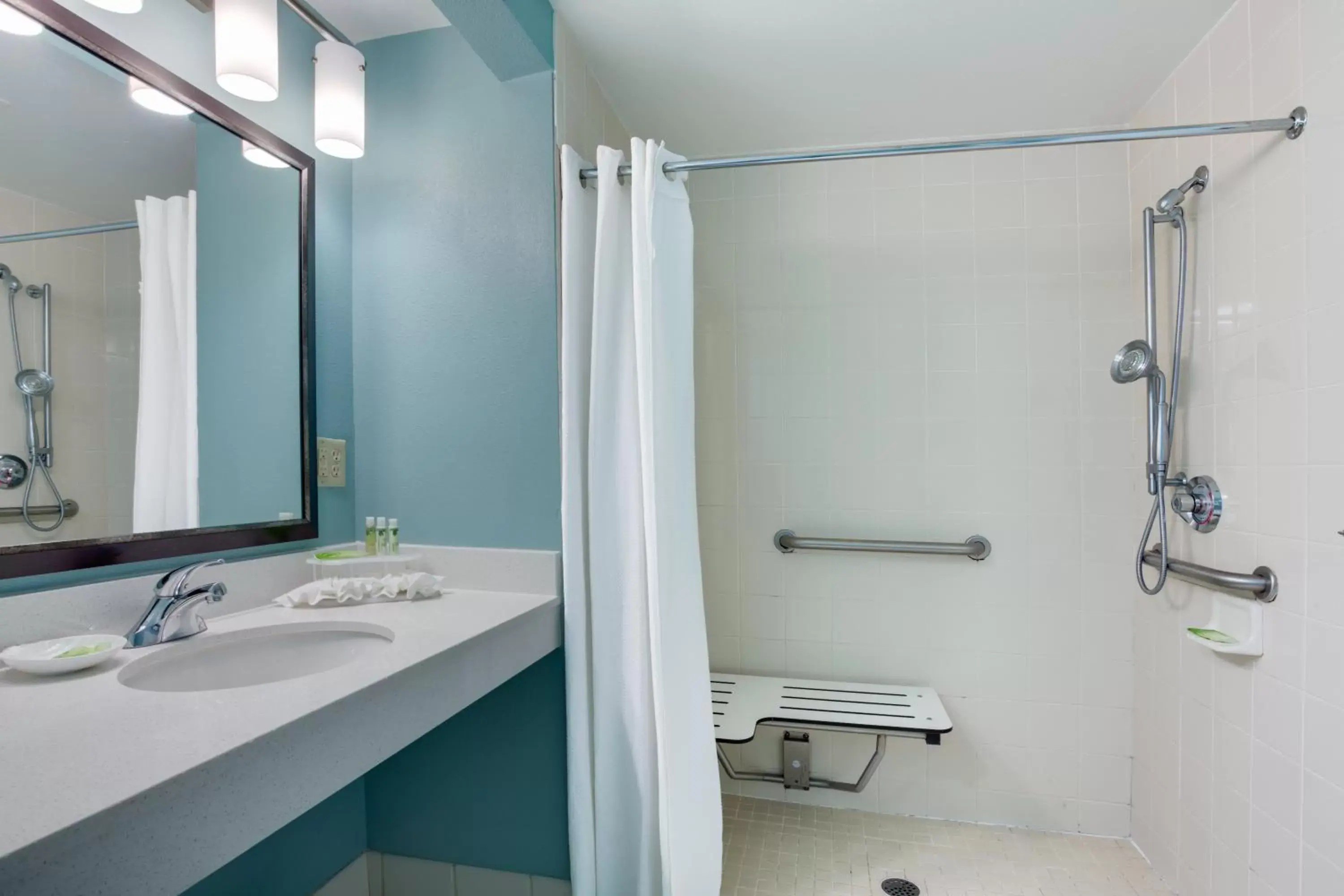 Bathroom in Holiday Inn Express & Suites Plant City, an IHG Hotel
