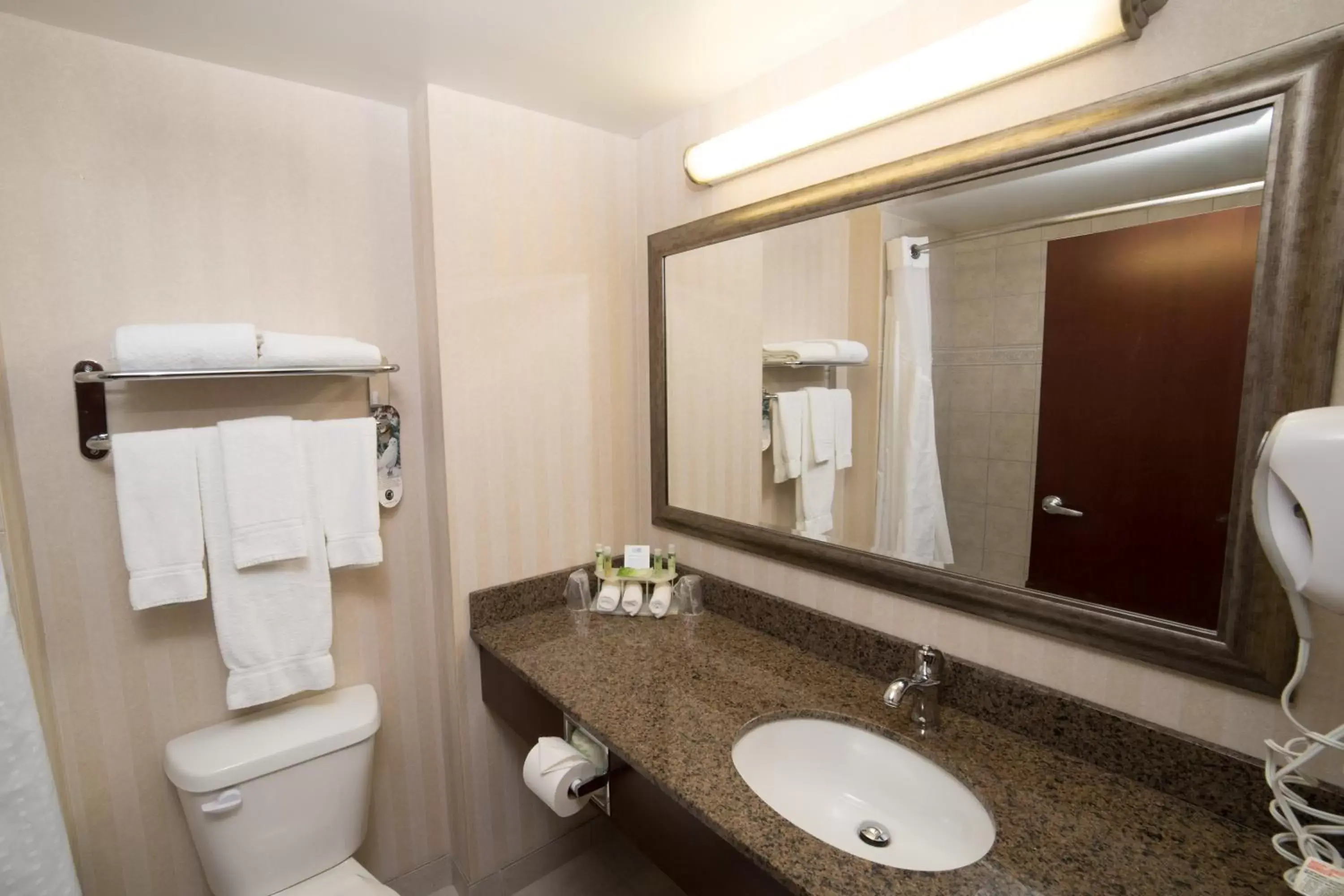 Photo of the whole room, Bathroom in Holiday Inn Express & Suites Whitecourt, an IHG Hotel