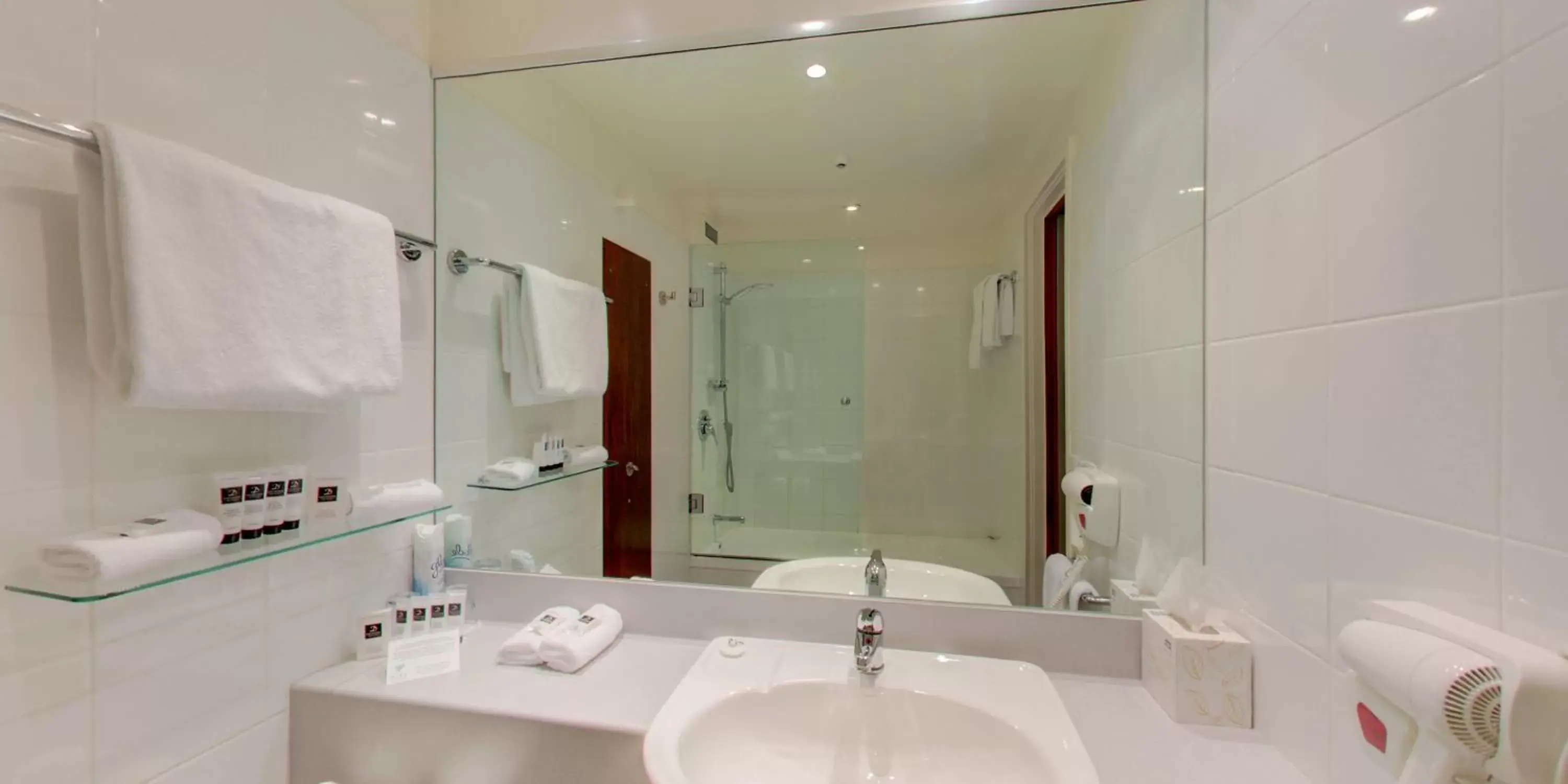 Bathroom in Dunedin Leisure Lodge - Distinction