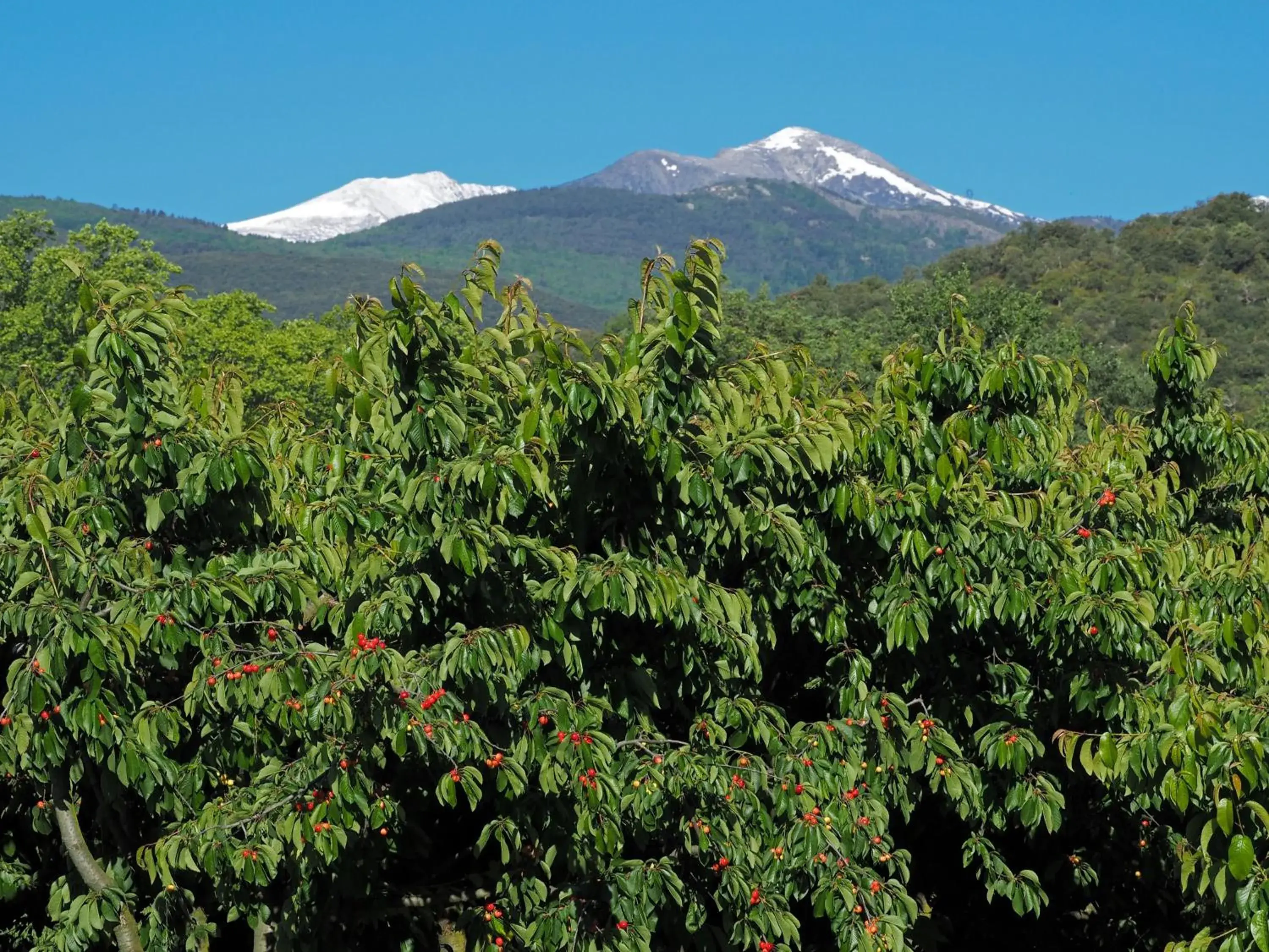 Day, Mountain View in Hotel Le Mas Trilles