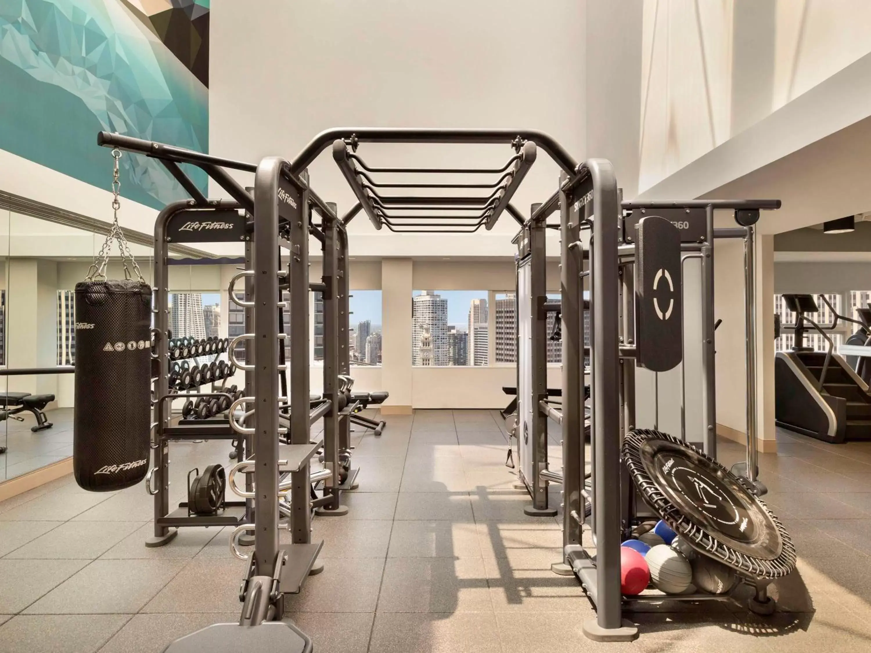 Sports, Fitness Center/Facilities in Swissotel Chicago