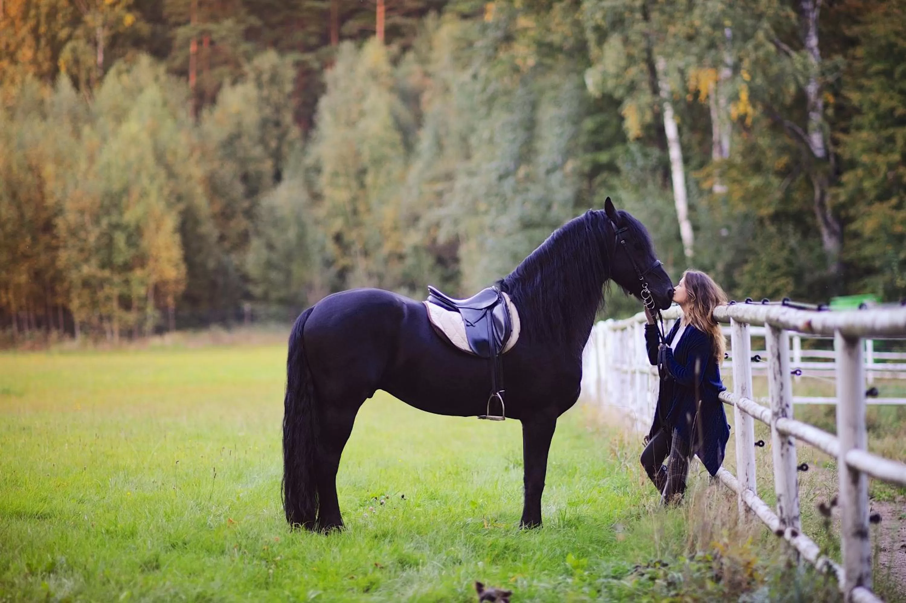 Horse-riding in Harmony Park Hotel & SPA