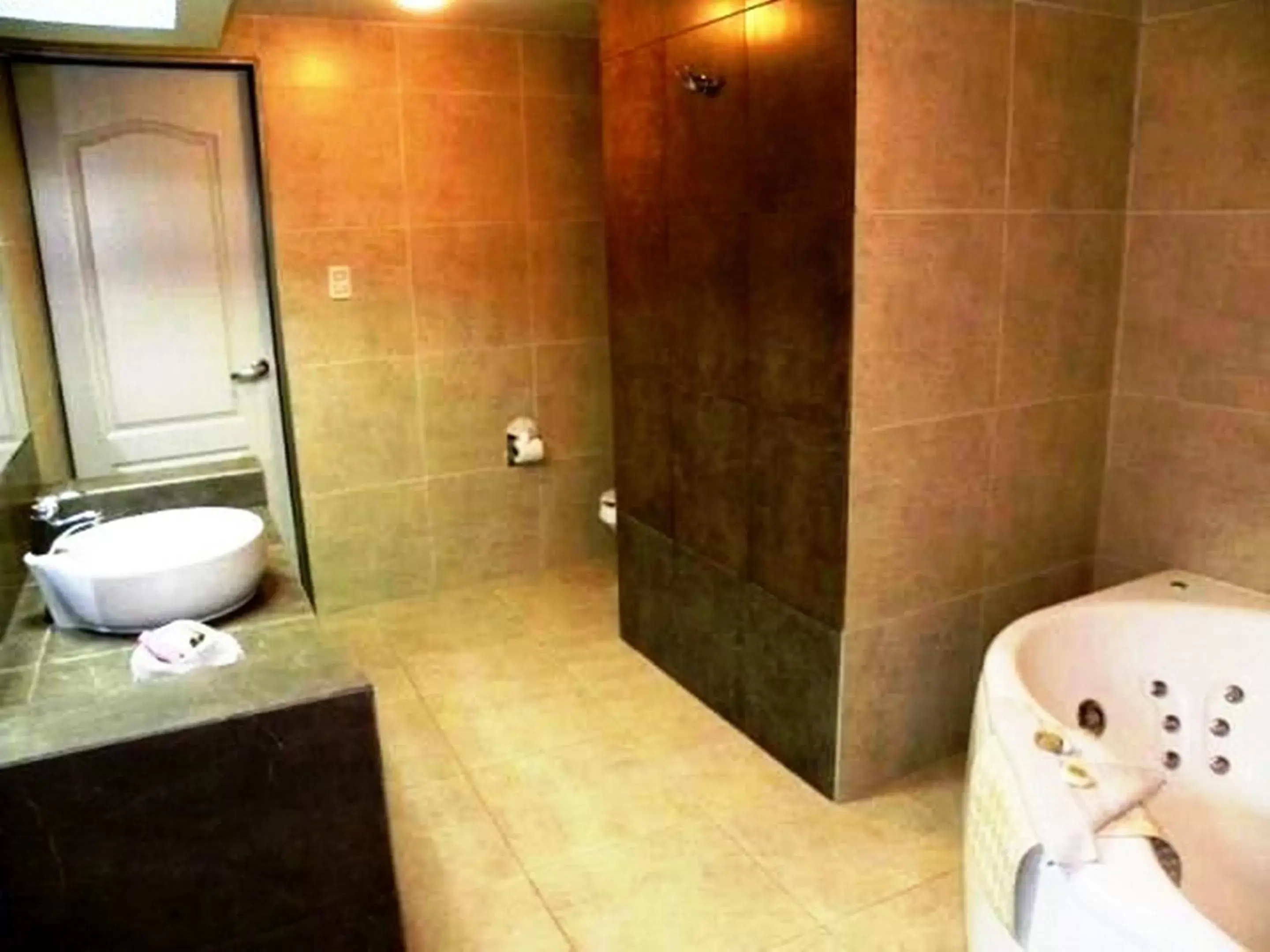 Bathroom in Hotel San Francisco Irapuato Business Class