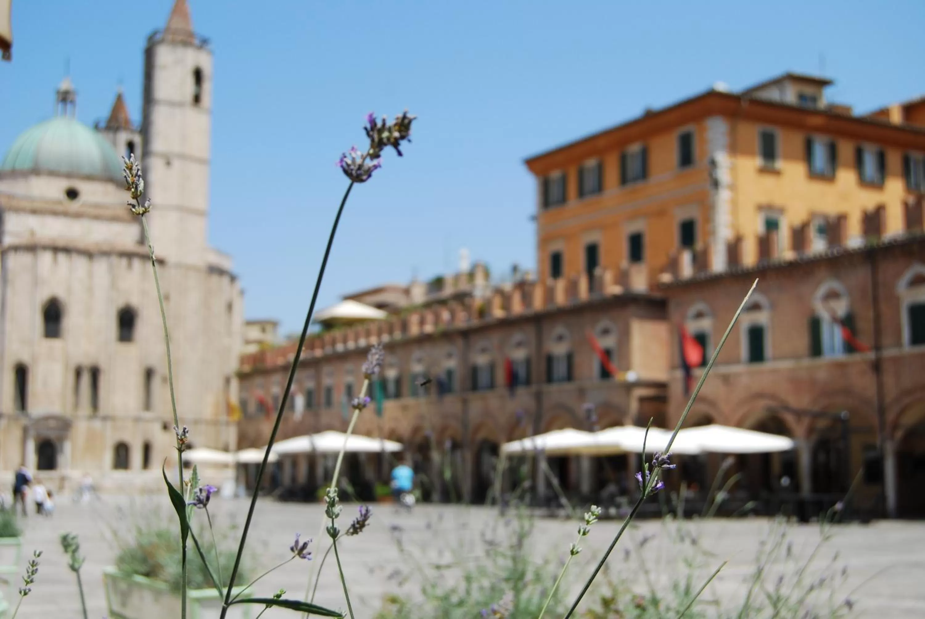 Nearby landmark, Property Building in A Casa di Lola